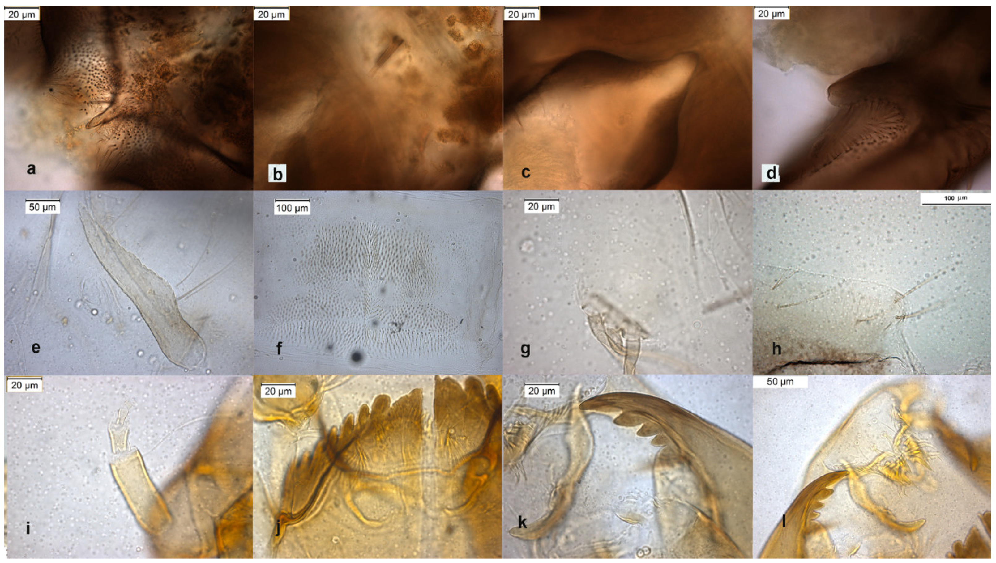 Insects 13 00051 g009