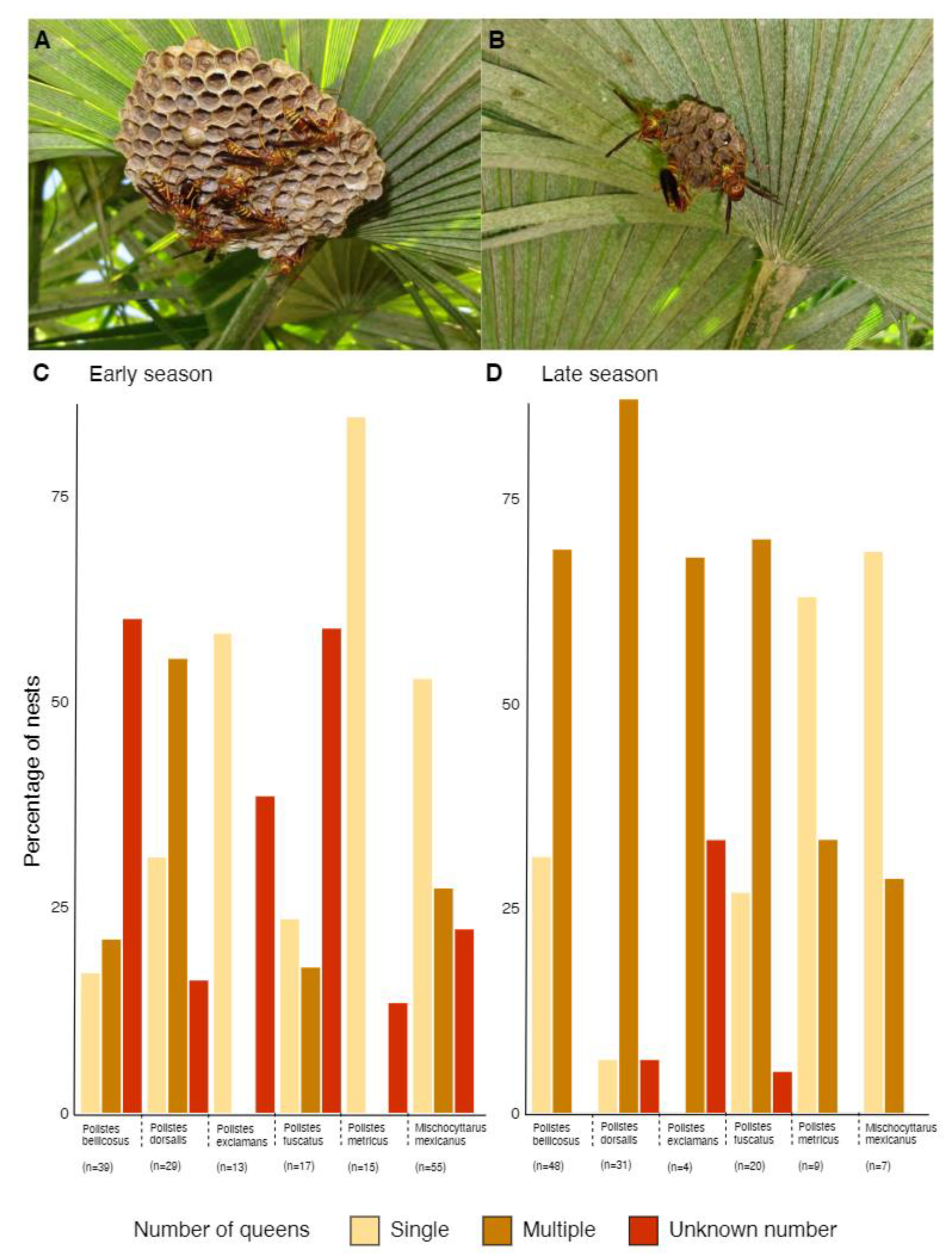 Insects 13 00053 g005