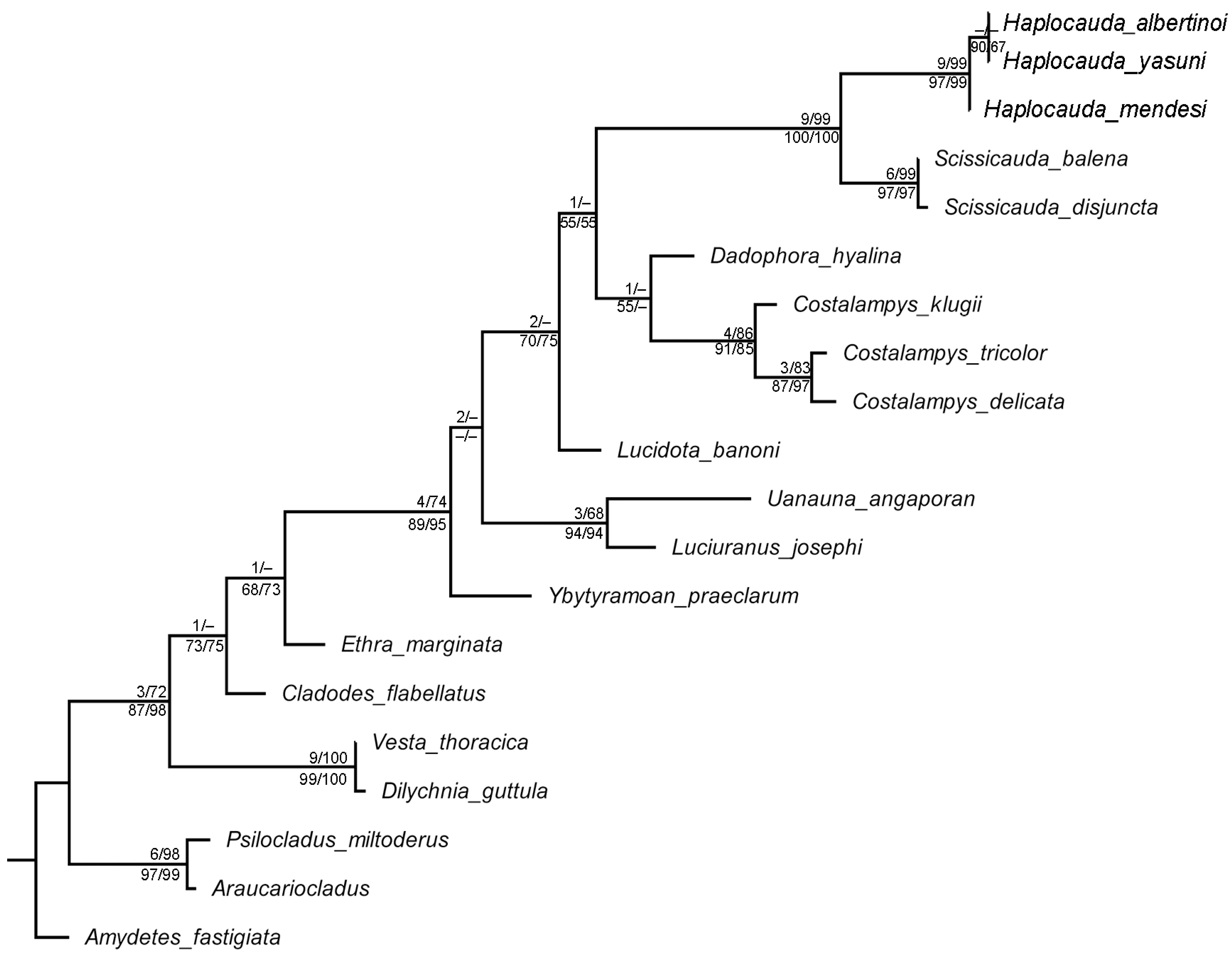 Insects 13 00058 g001 550
