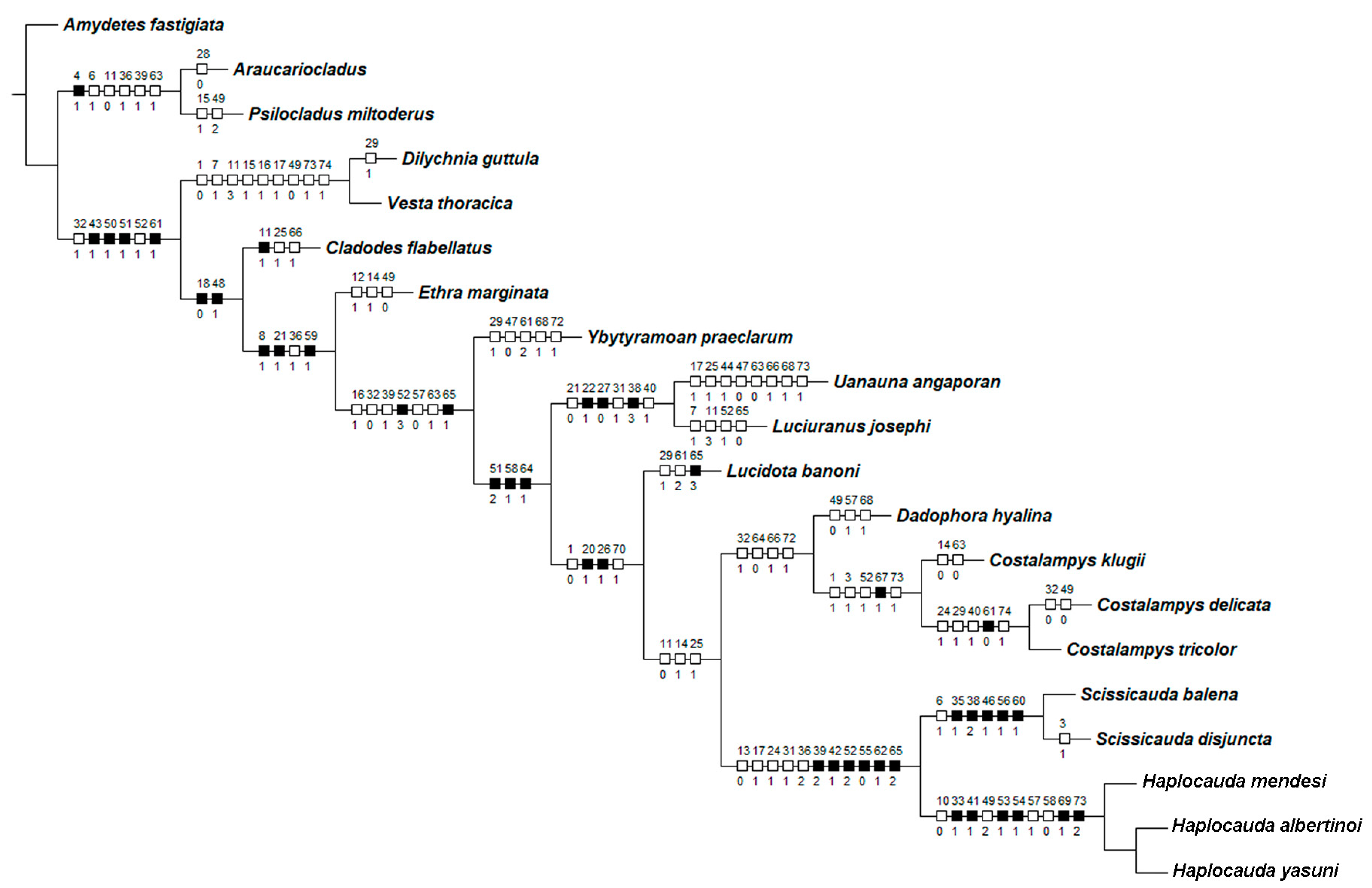 Insects 13 00058 g002 550