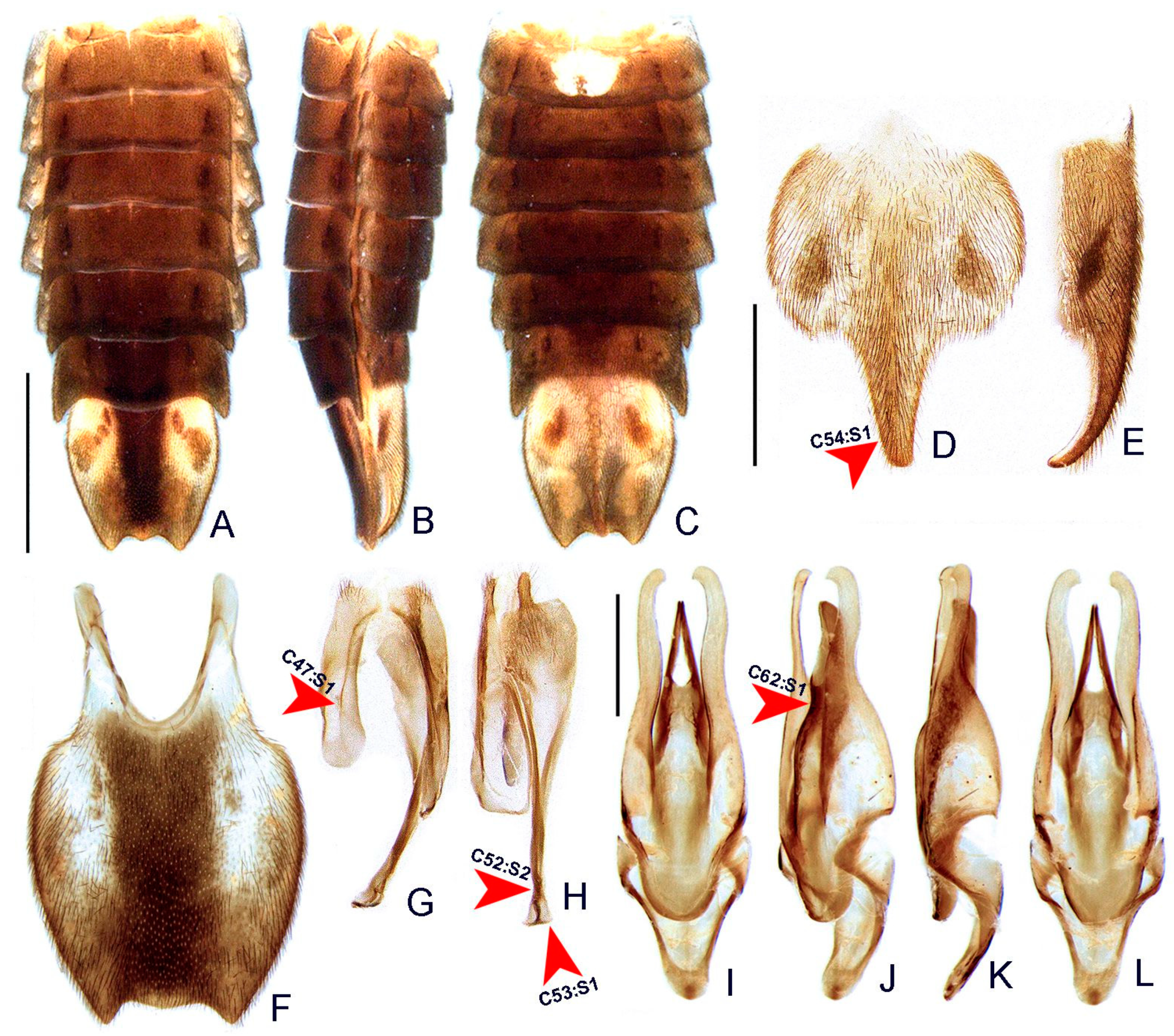 Insects 13 00058 g006 550