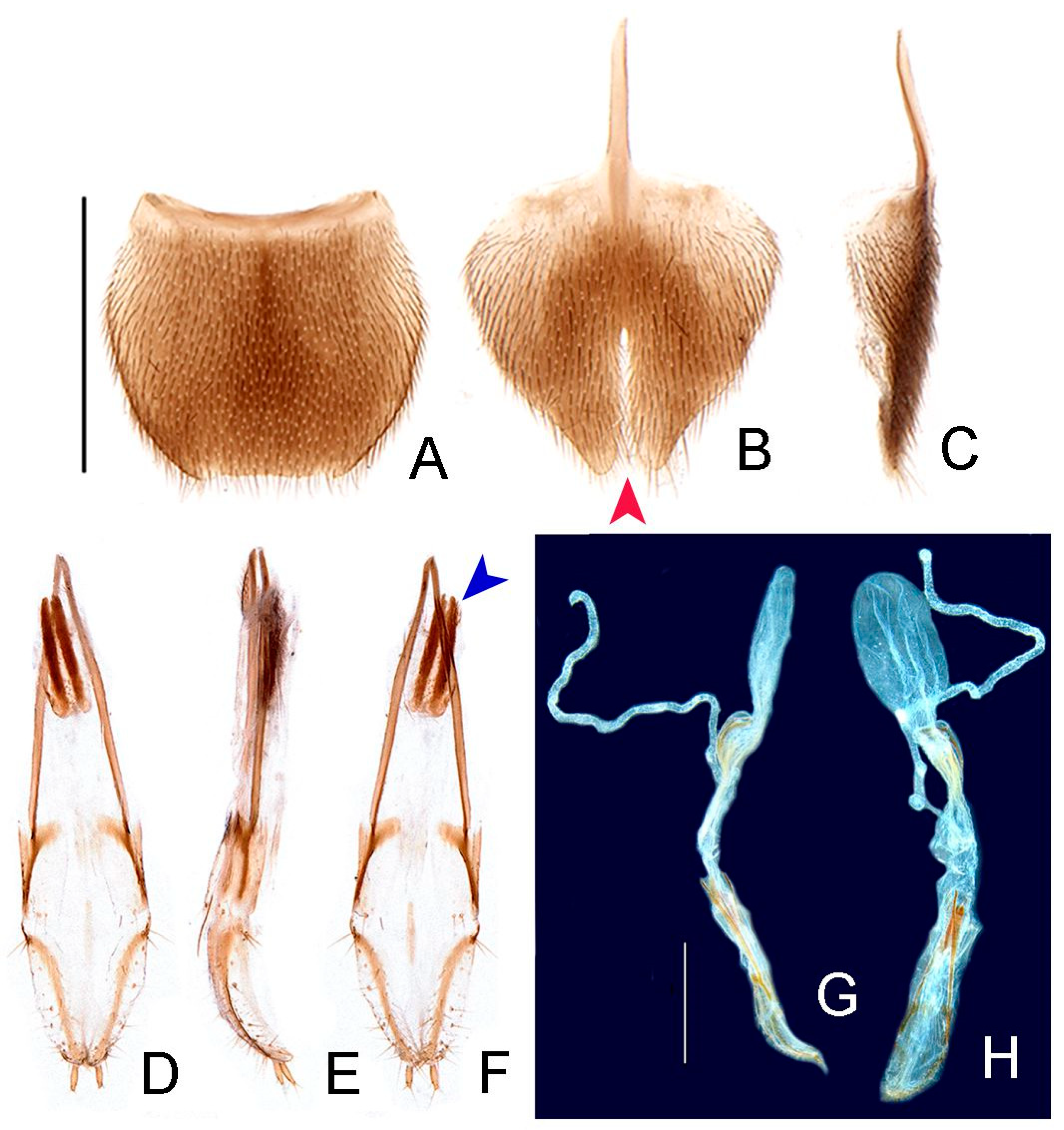 Insects 13 00058 g010 550
