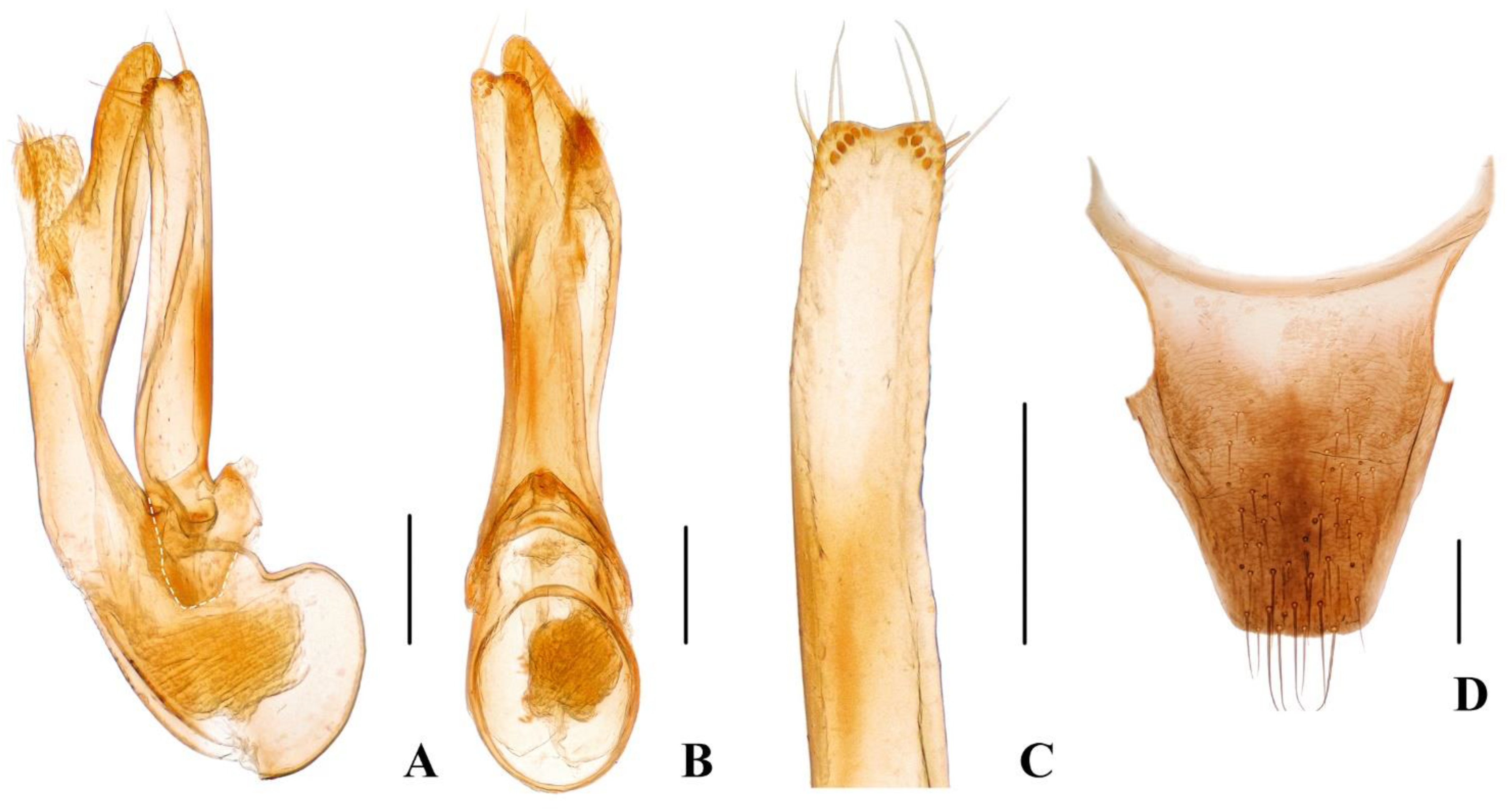 Insects 13 00060 g003 550