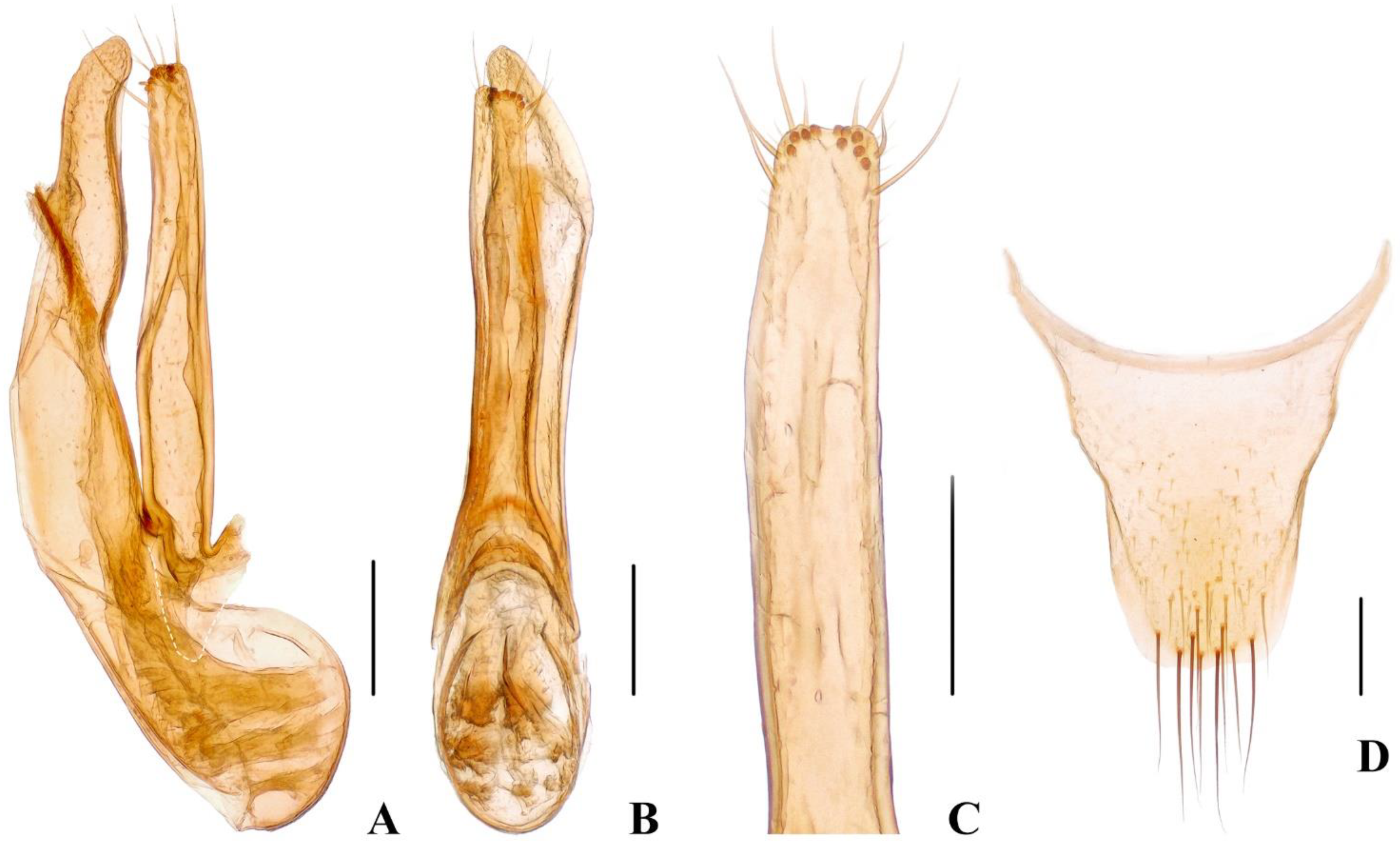 Insects 13 00060 g004 550