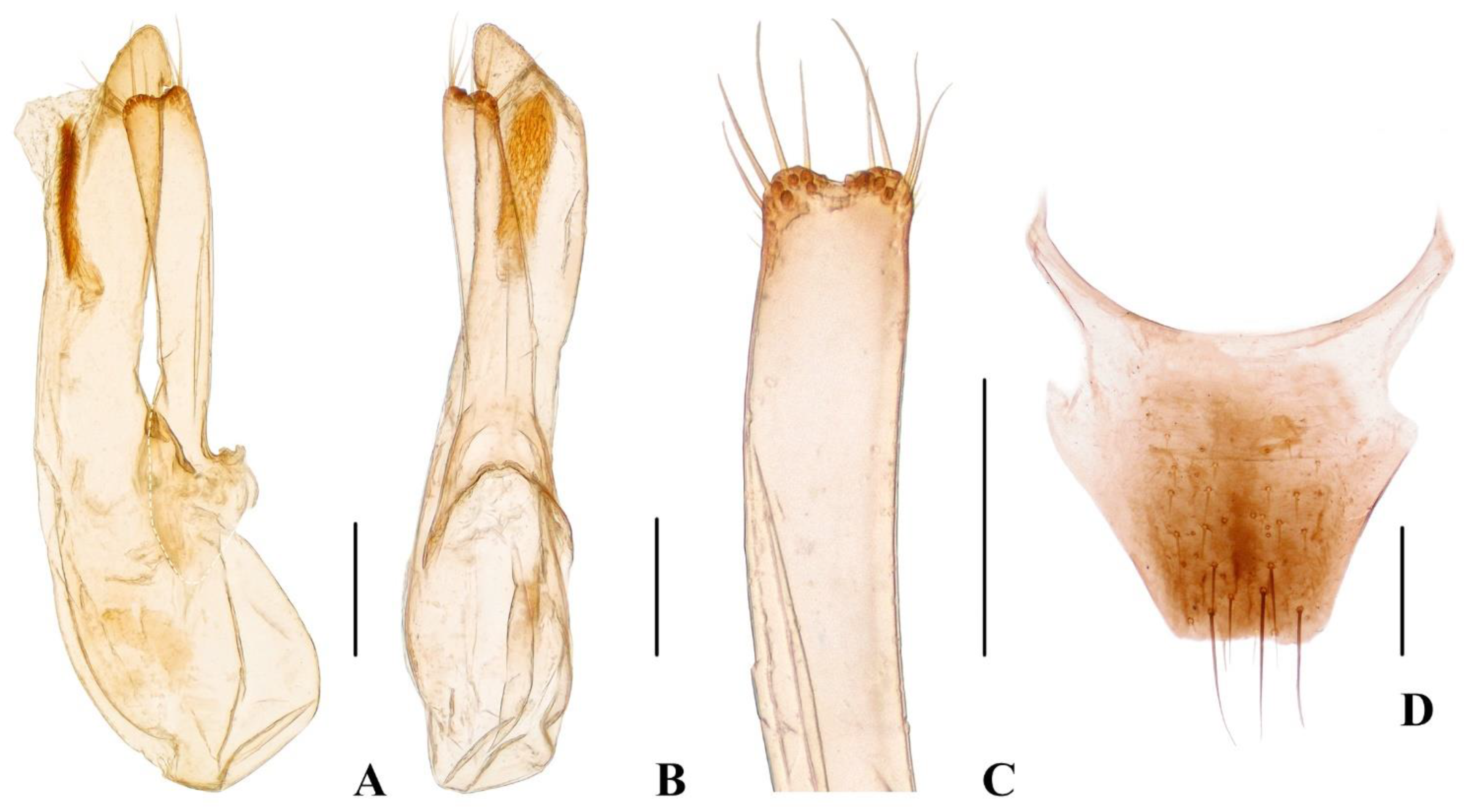 Insects 13 00060 g005 550