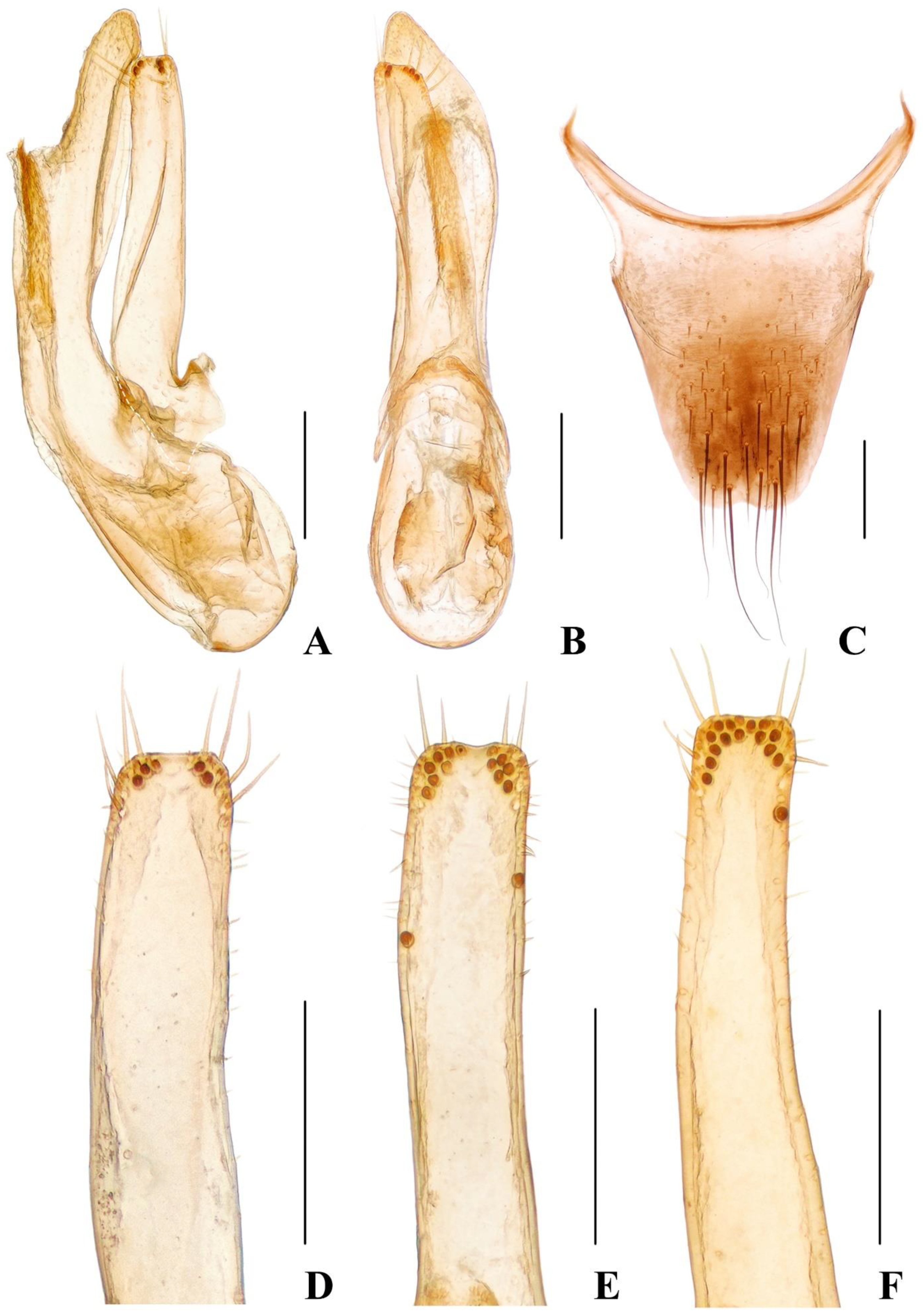 Insects 13 00060 g006 550