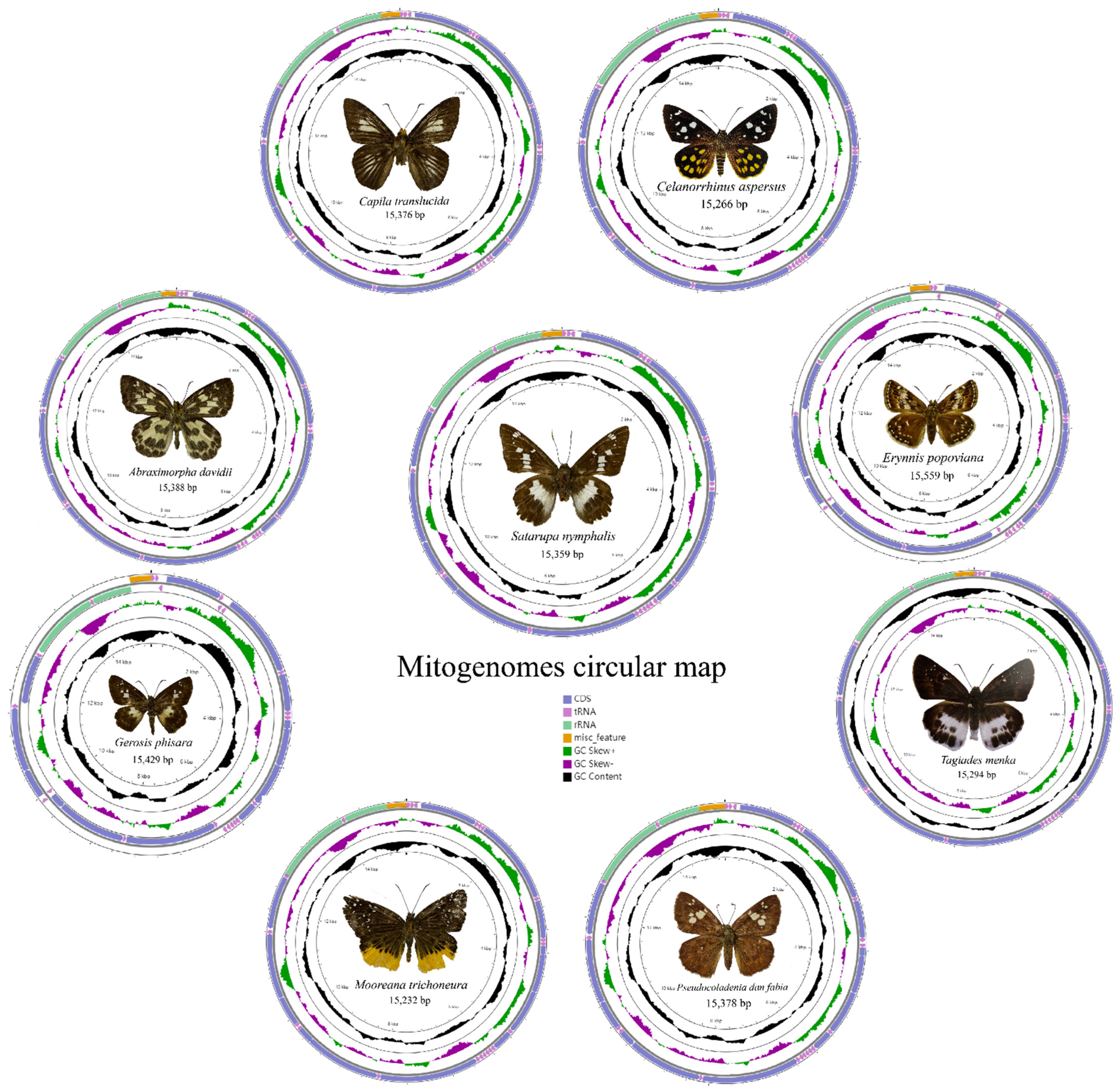 Insects 13 00068 g001 550