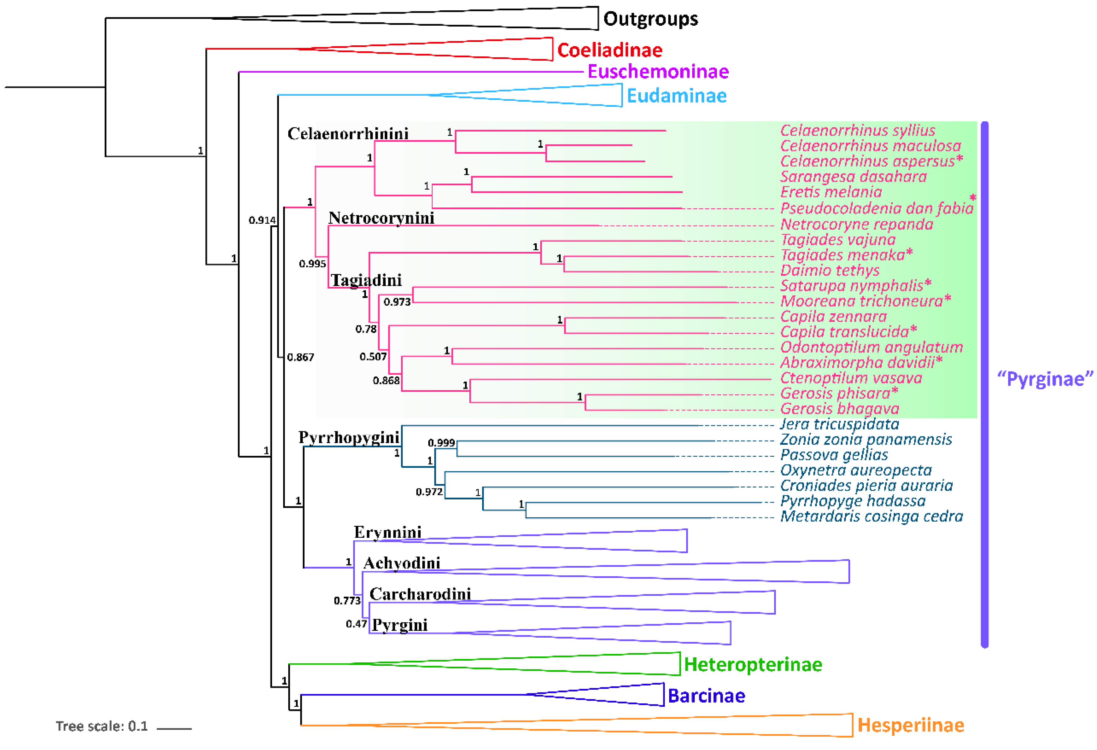 Insects 13 00068 g004 550
