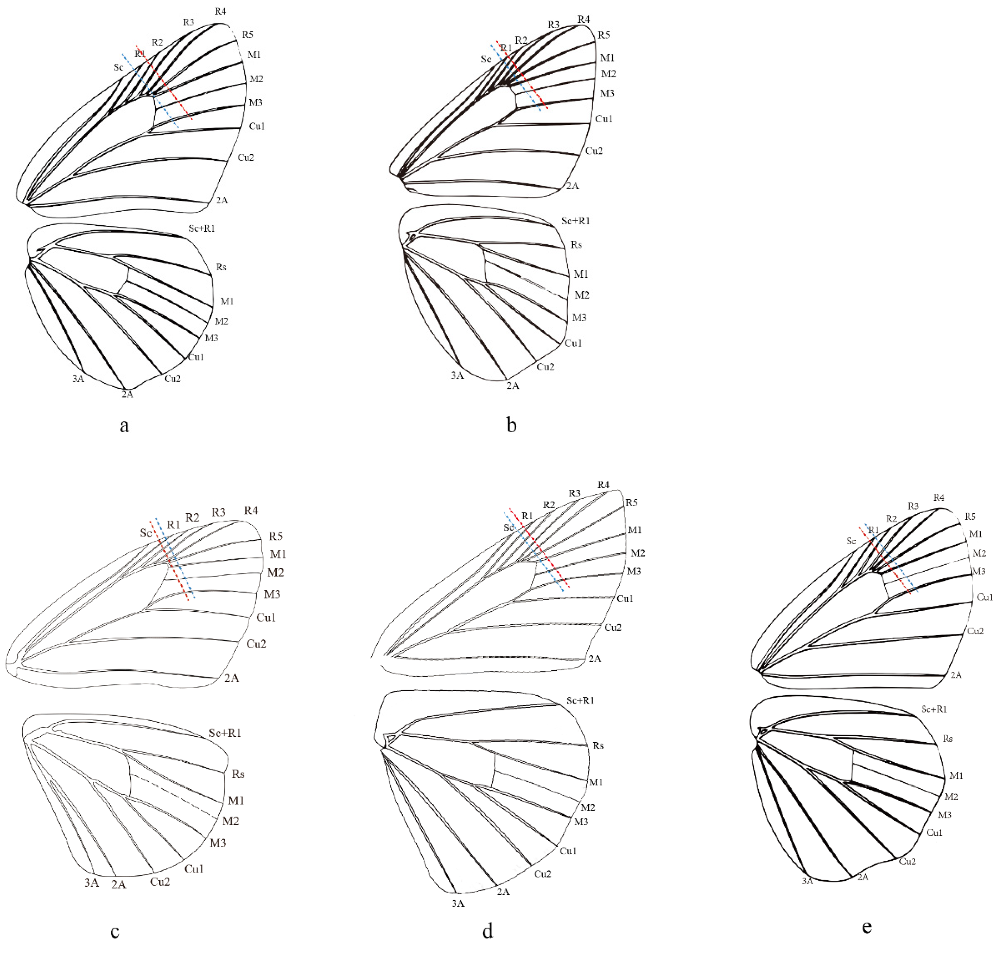 Insects 13 00068 g005 550