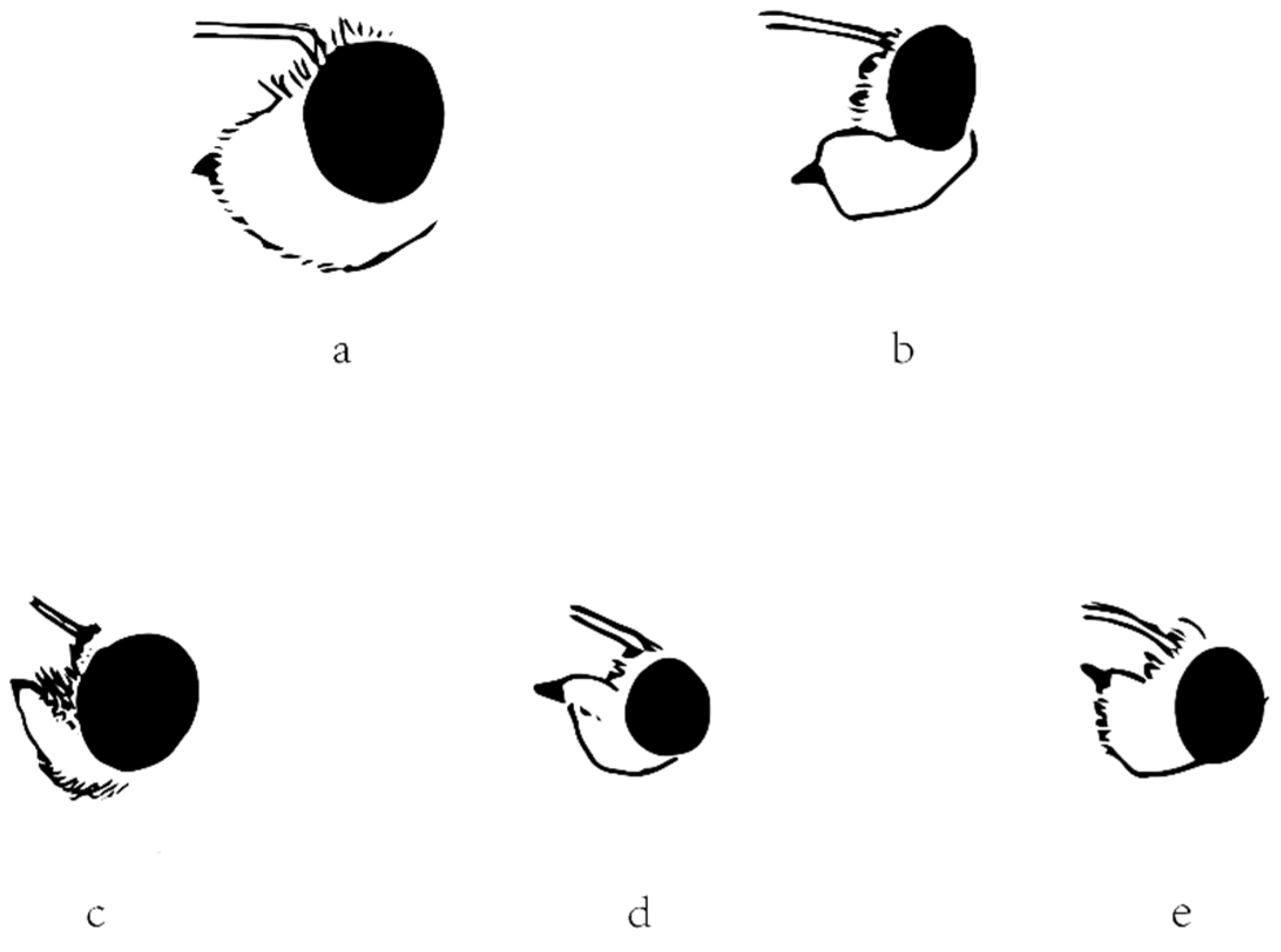 Insects 13 00068 g006 550