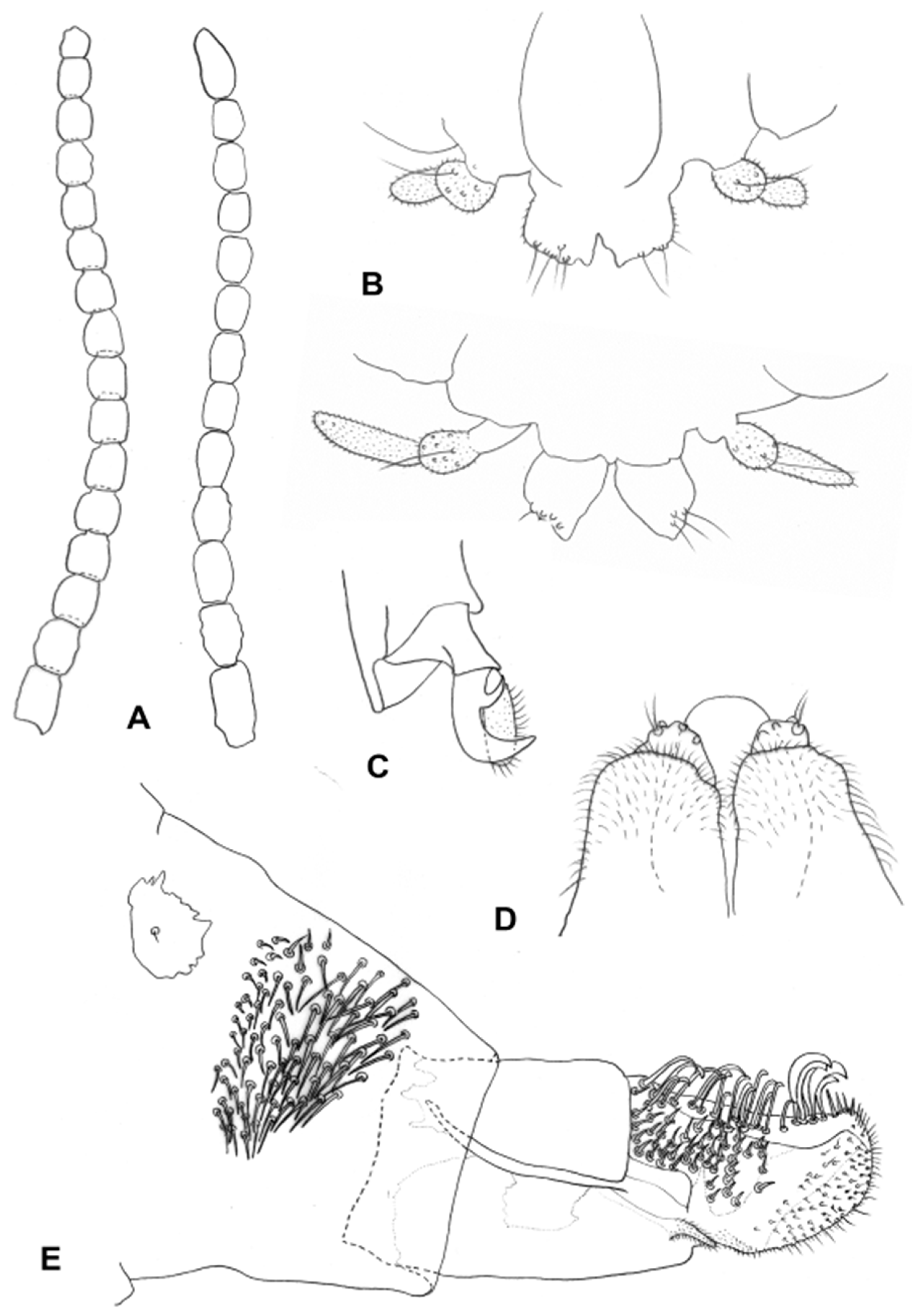 Insects 13 00075 g008 550