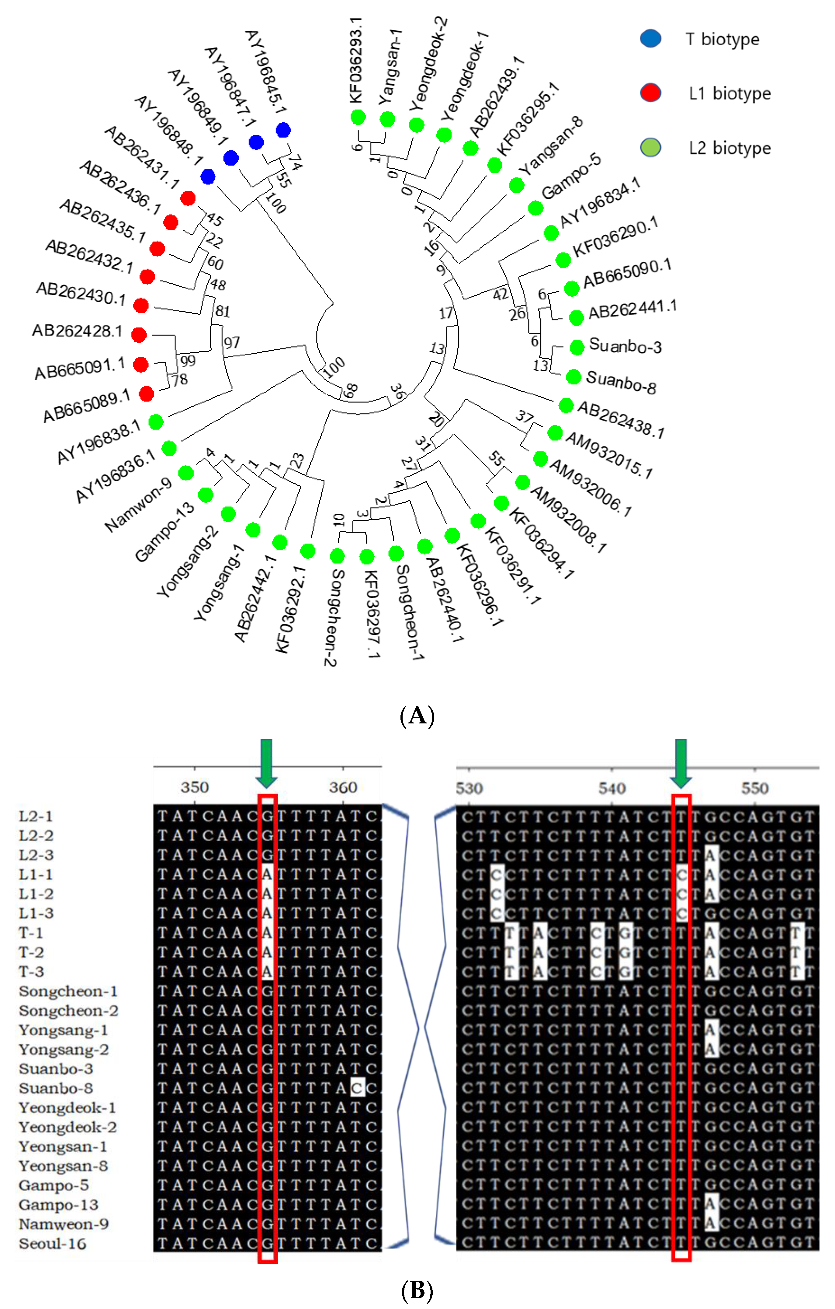 Insects 13 00078 g002 Insects 13 00078 g002