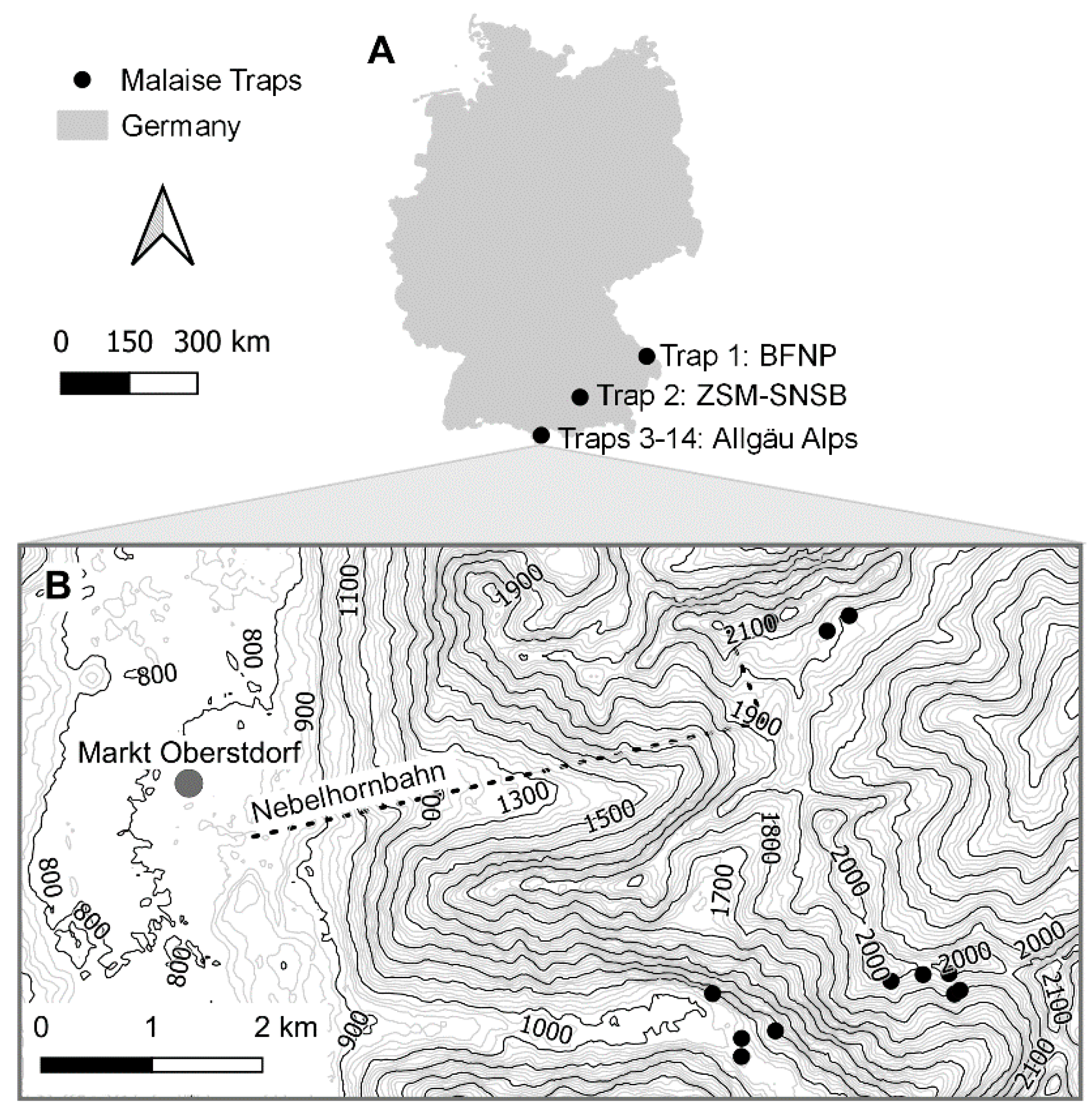Insects 13 00082 g002 550