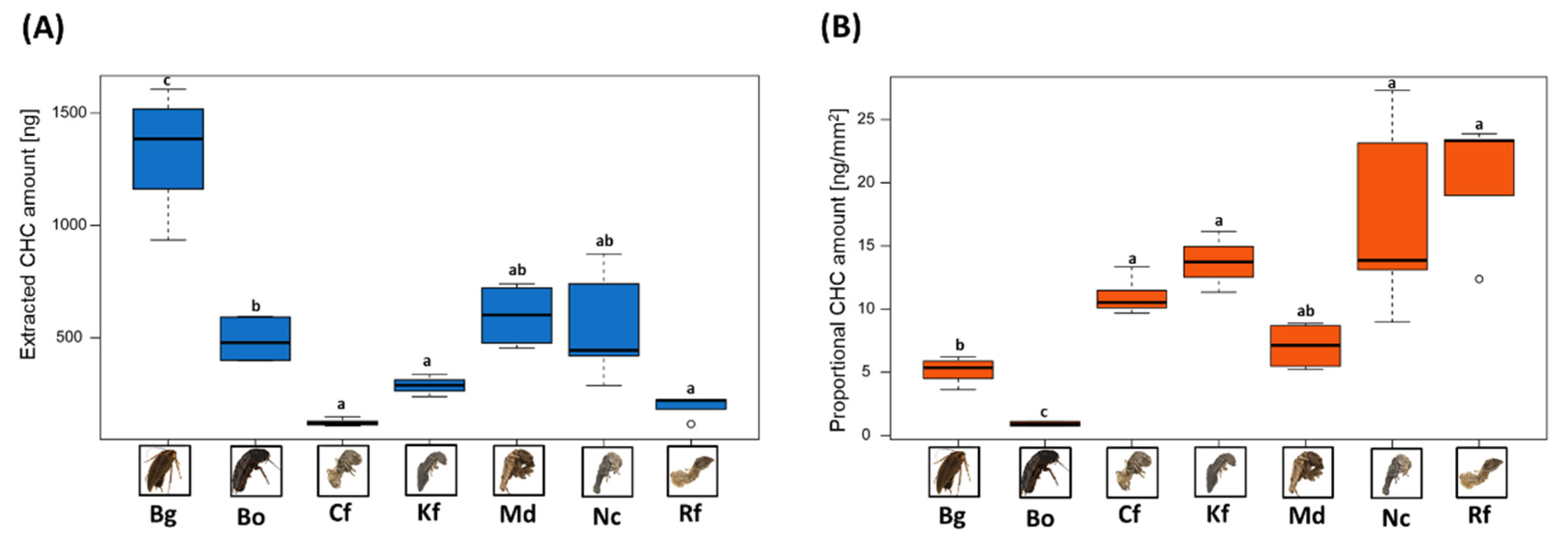 Insects 13 00083 g003