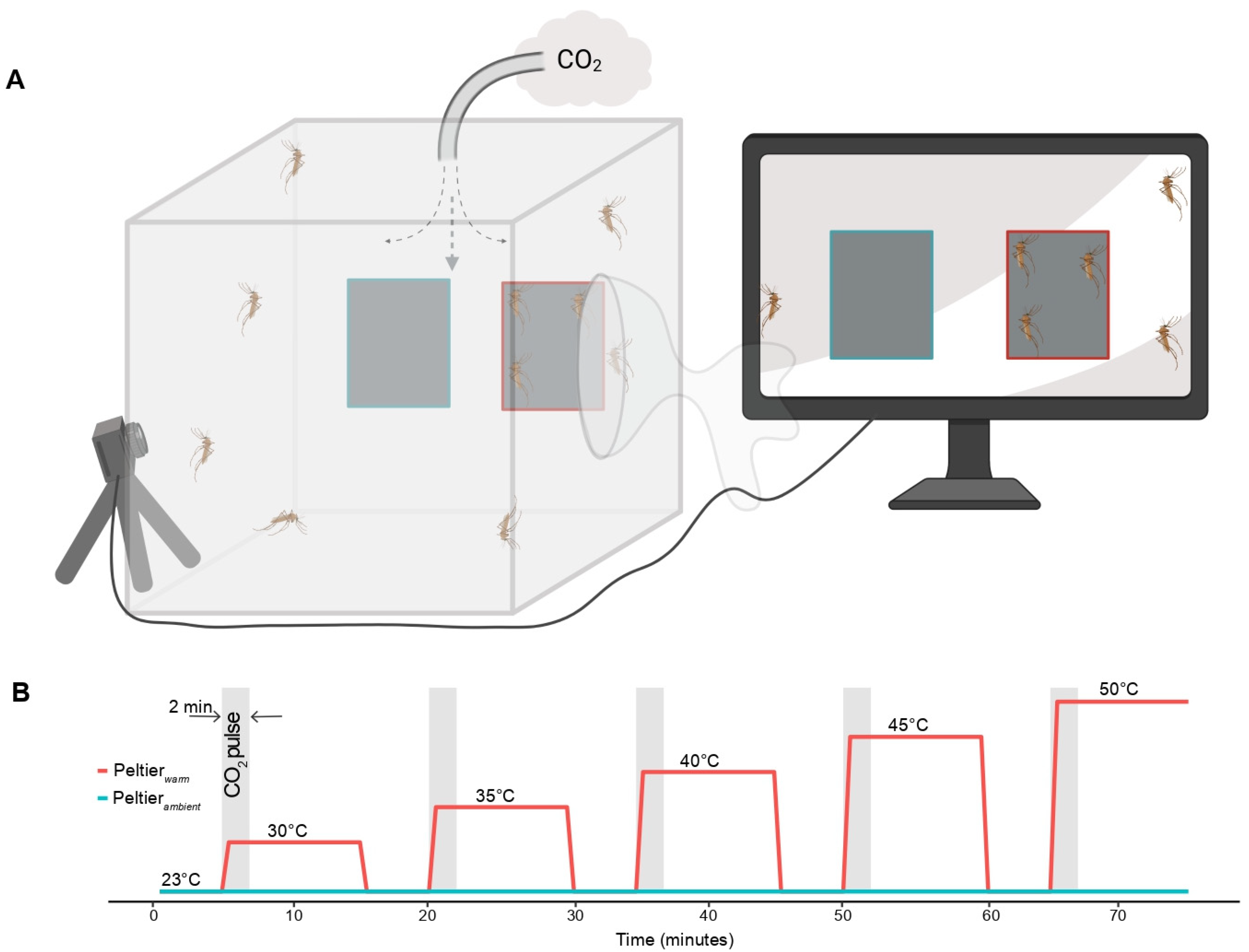 Insects 13 00092 g002