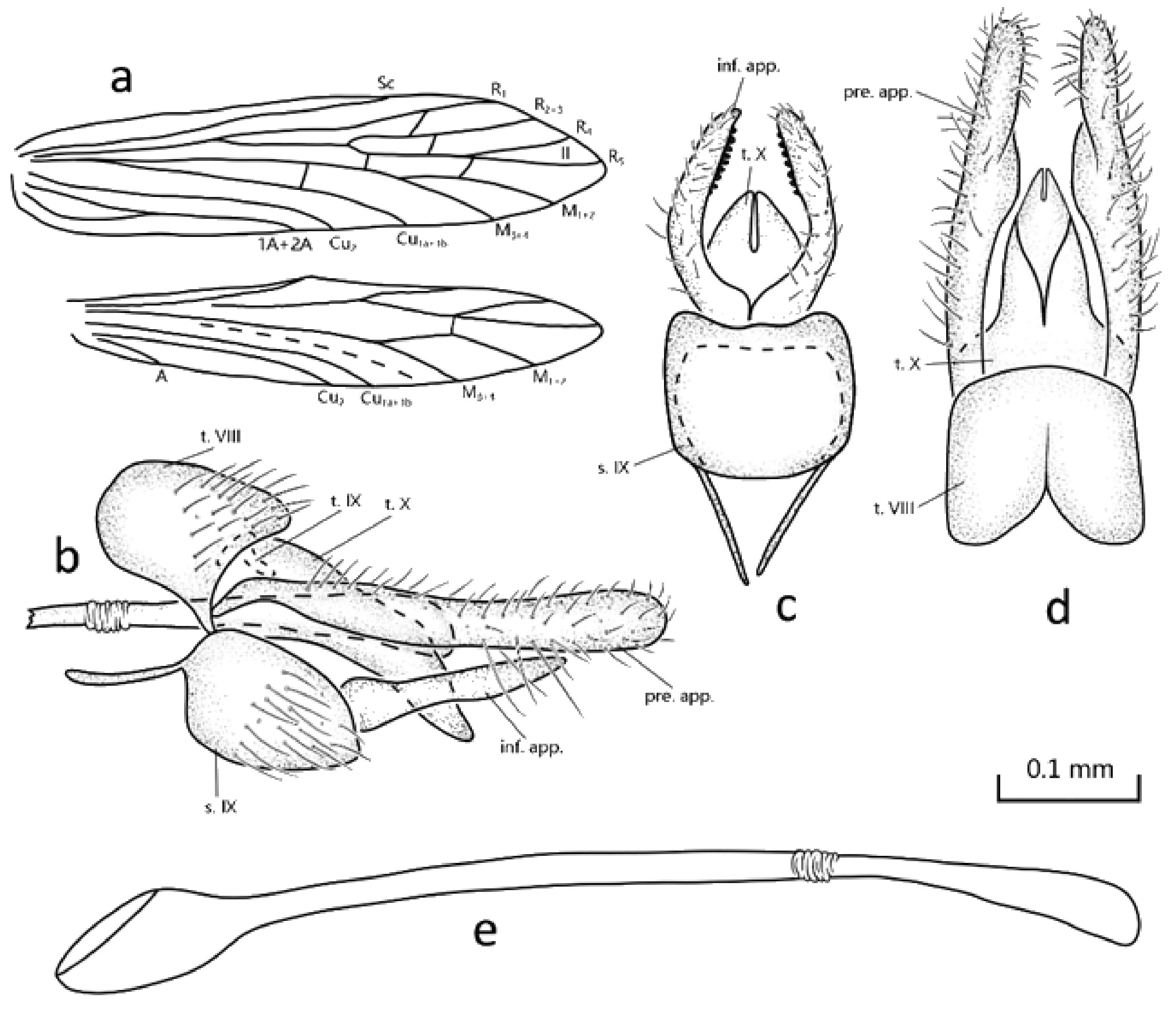 Insects 13 00095 g001 550