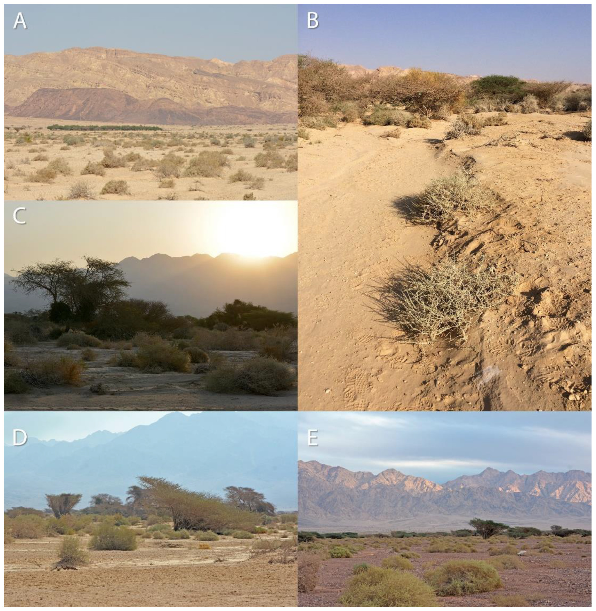 Insects 13 00101 g002 Insects 13 00101 g002