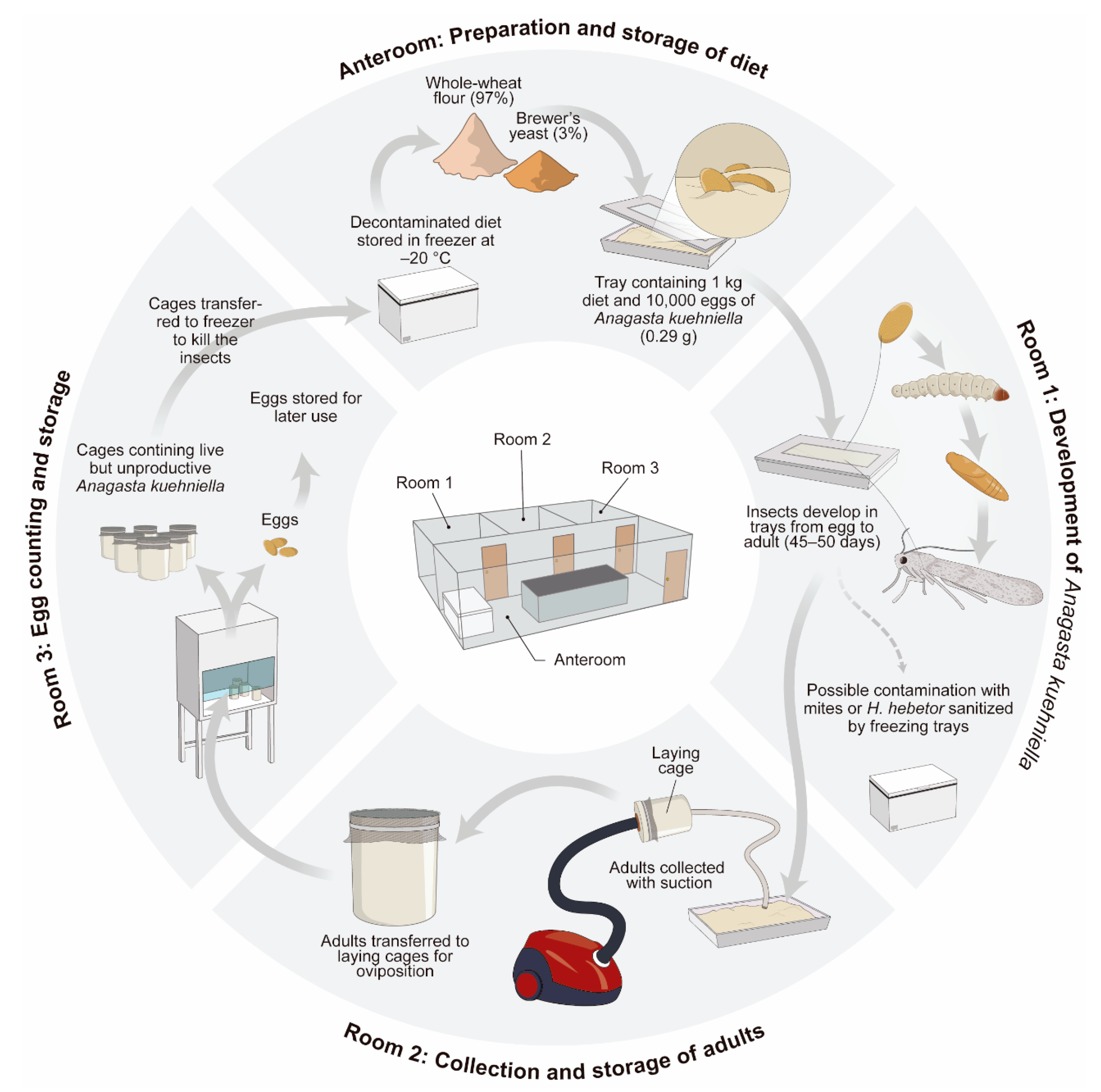 Insects 13 00105 g002 Insects 13 00105 g002