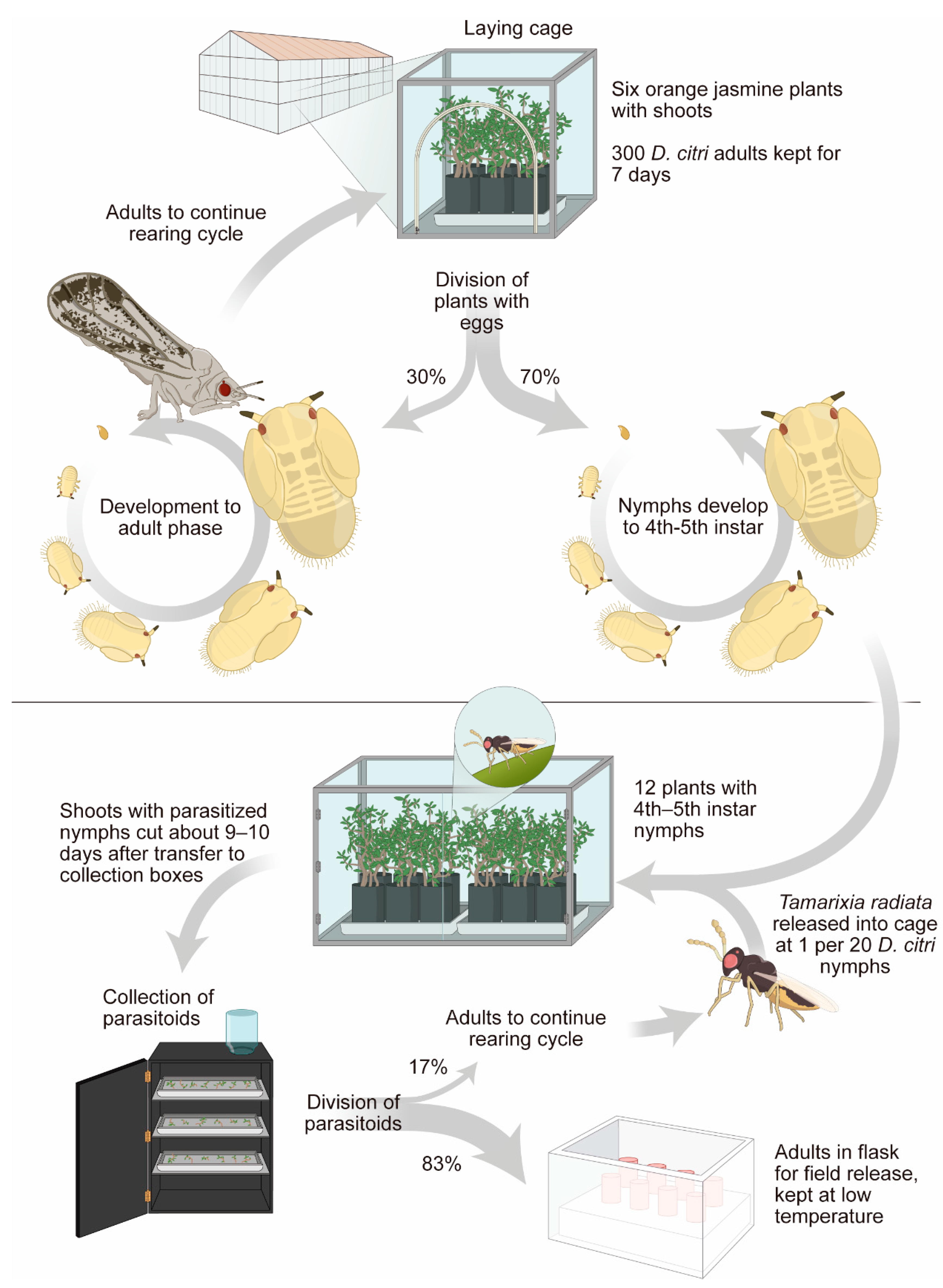 Insects 13 00105 g003 Insects 13 00105 g003