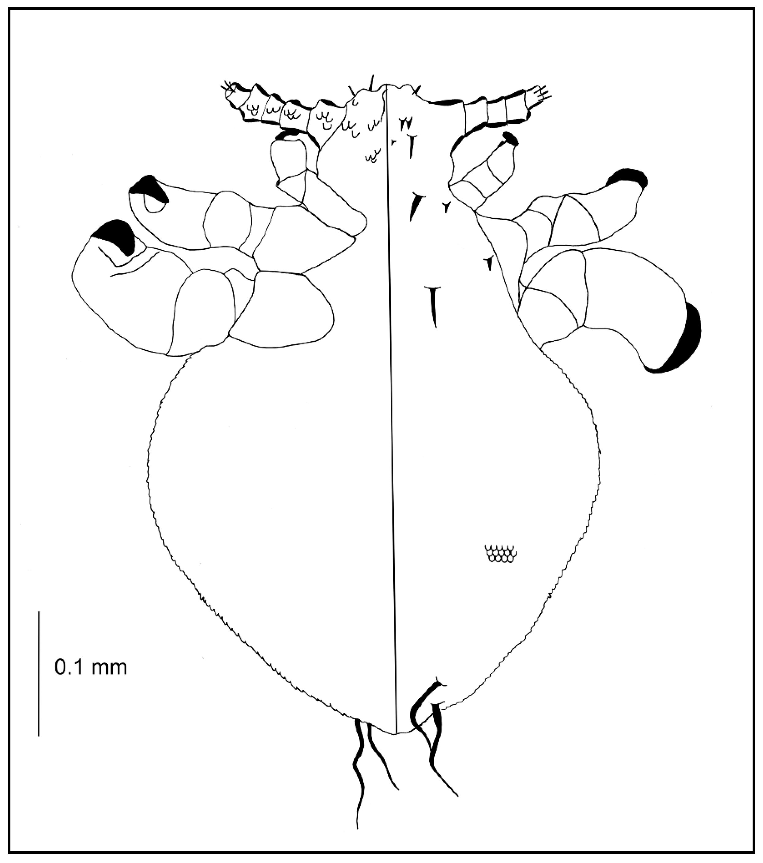 Insects 13 00107 g005 550