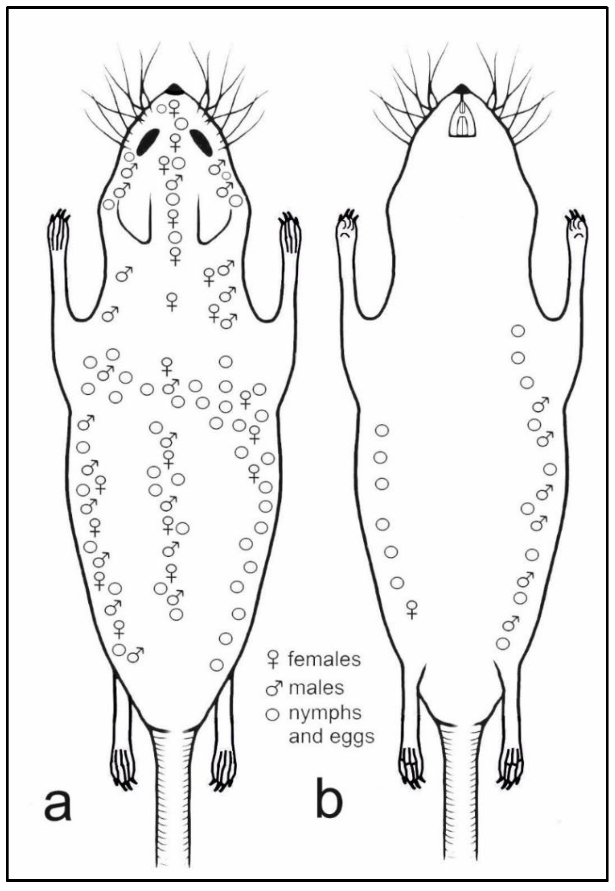 Insects 13 00107 g006 550