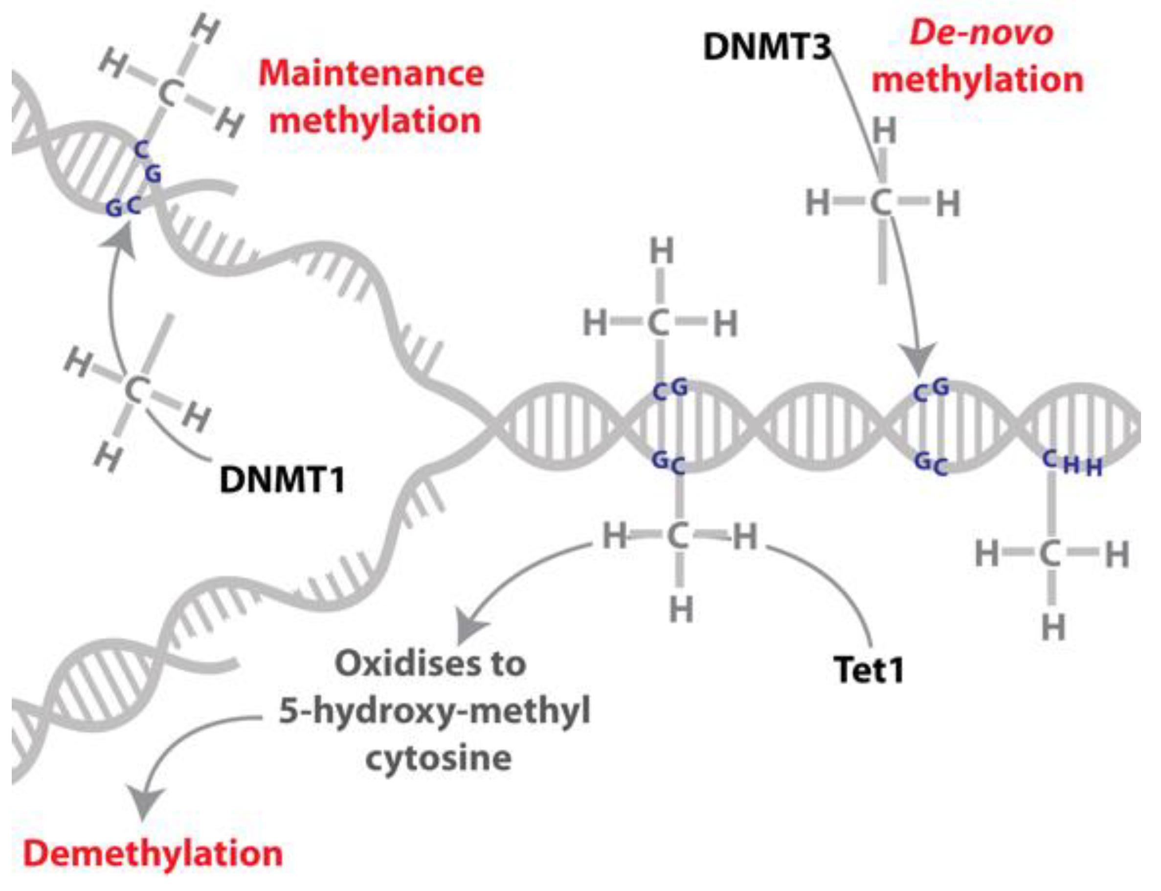 Insects 13 00110 g002