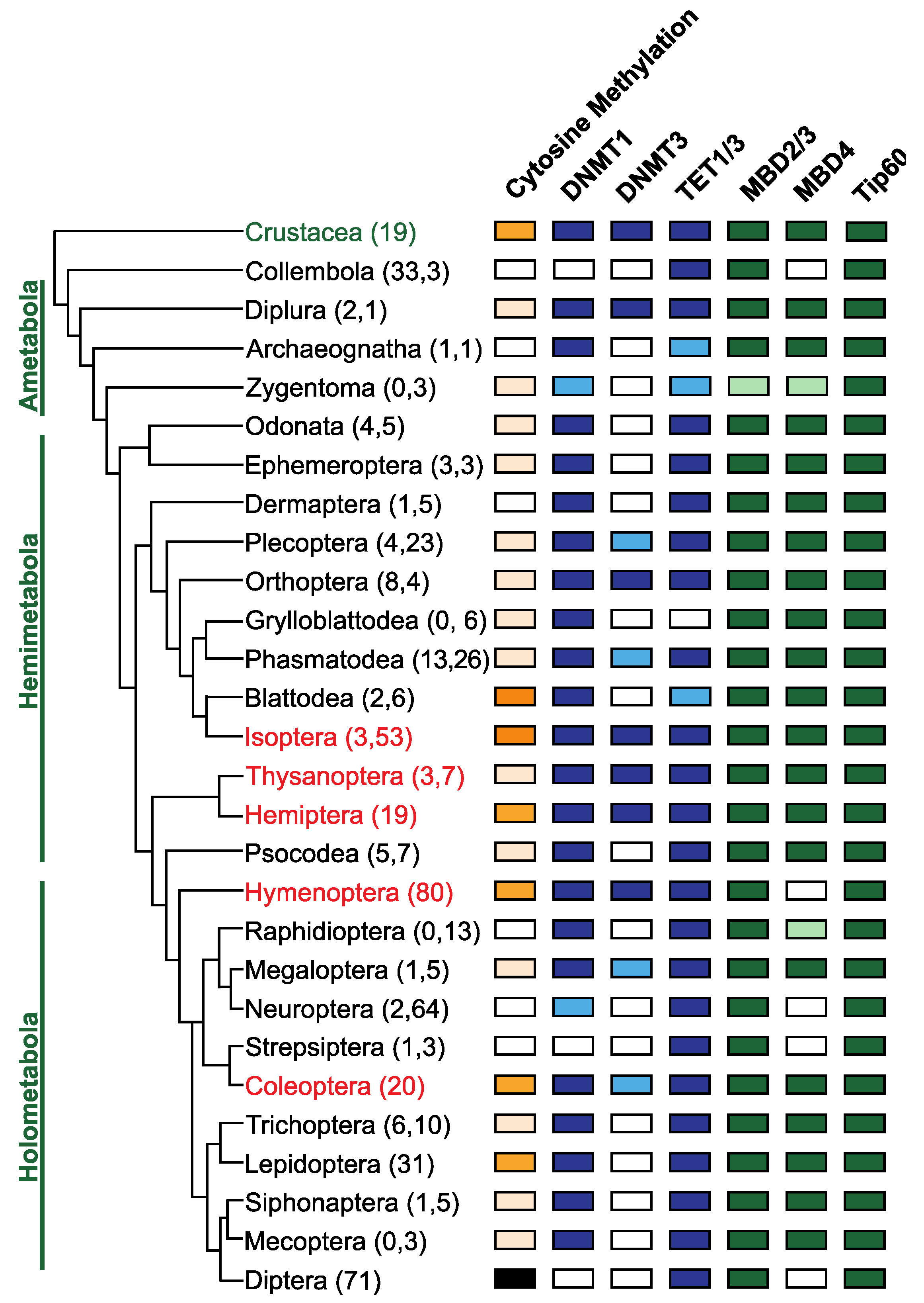 Insects 13 00110 g003