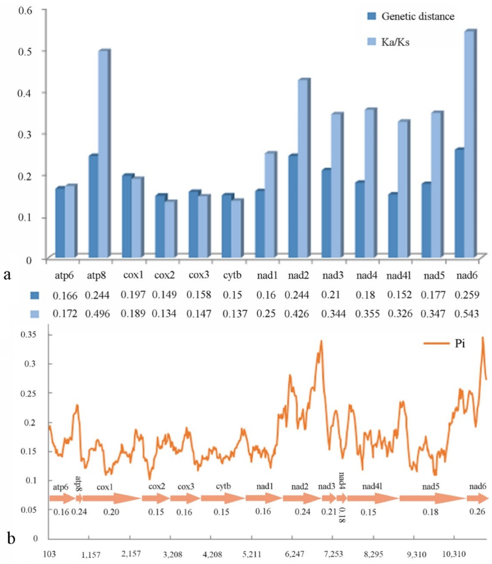 Insects 13 00118 g005 Insects 13 00118 g005