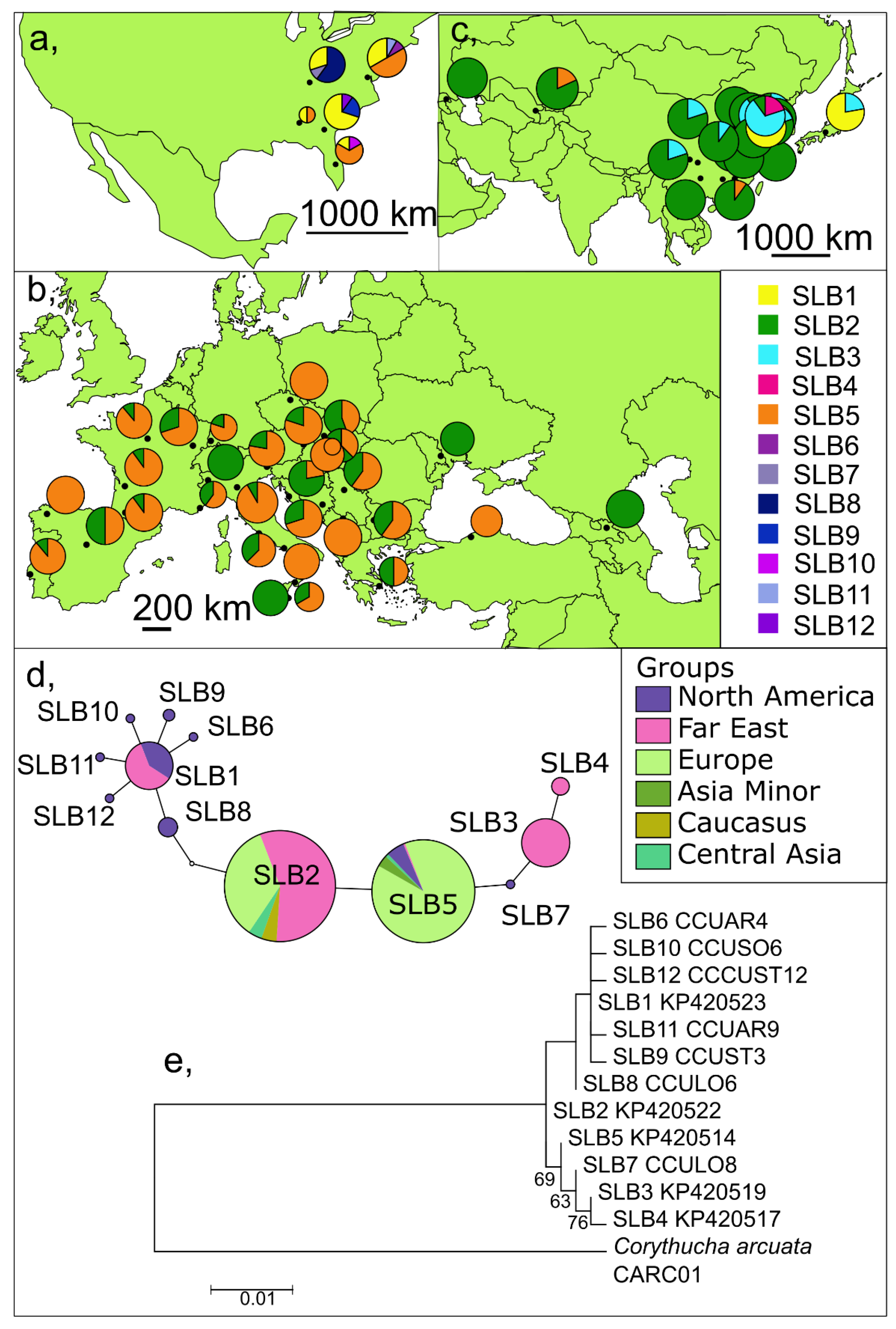 Insects 13 00123 g003 Insects 13 00123 g003