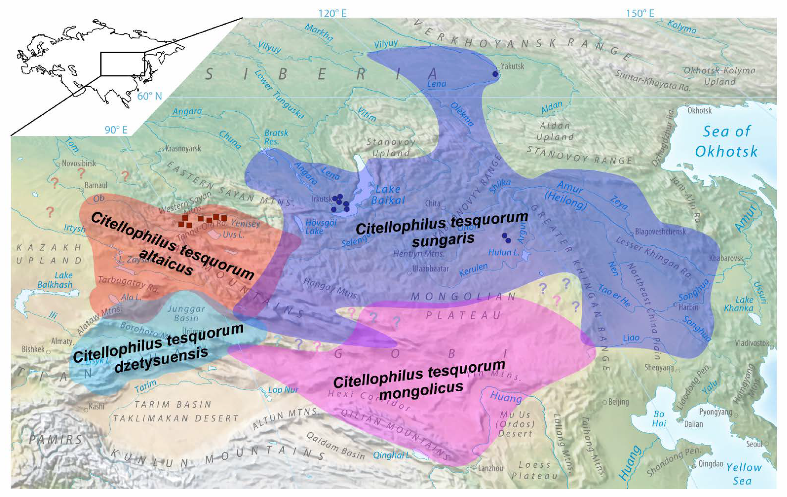 Insects 13 00126 g001