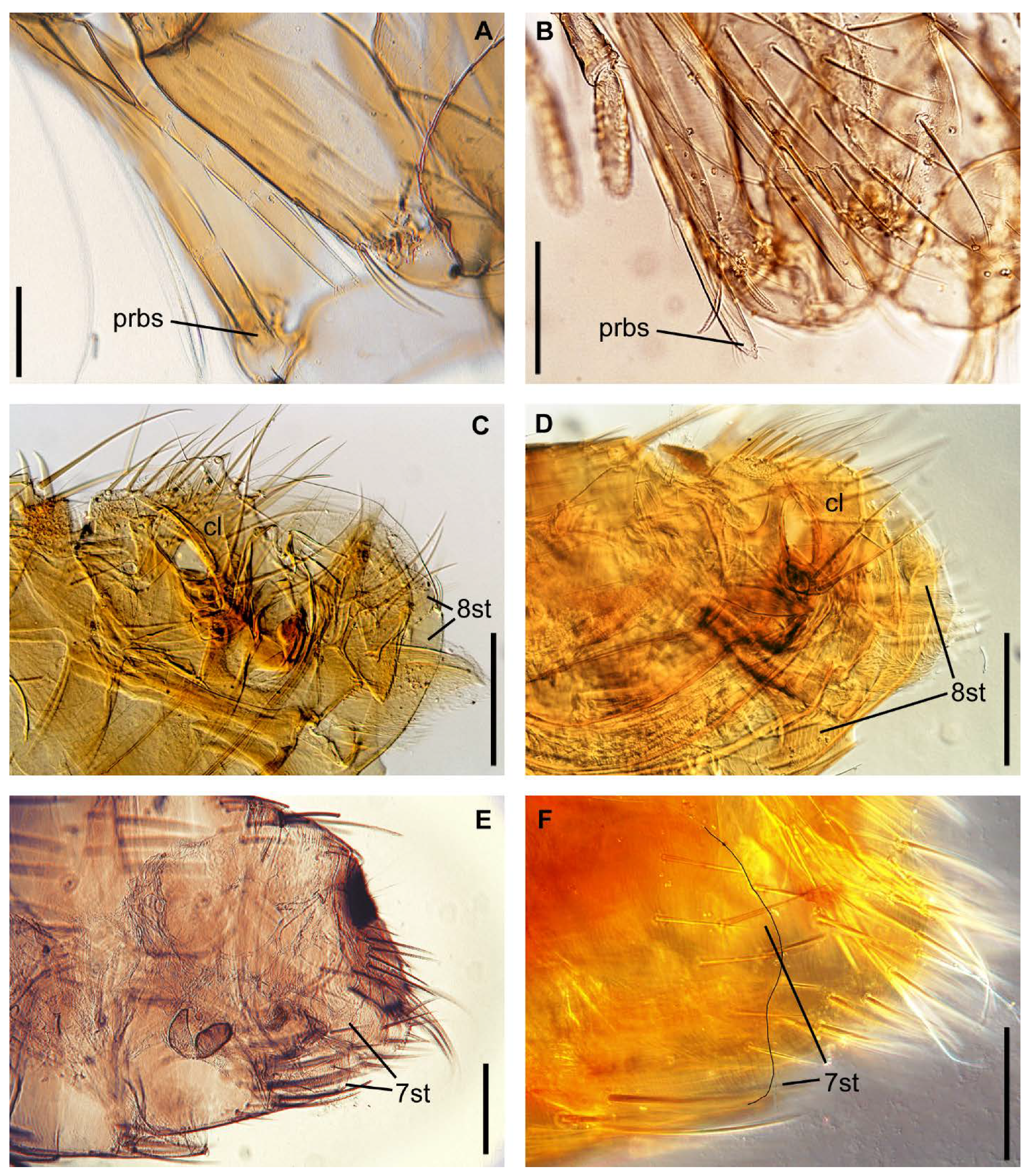 Insects 13 00126 g002