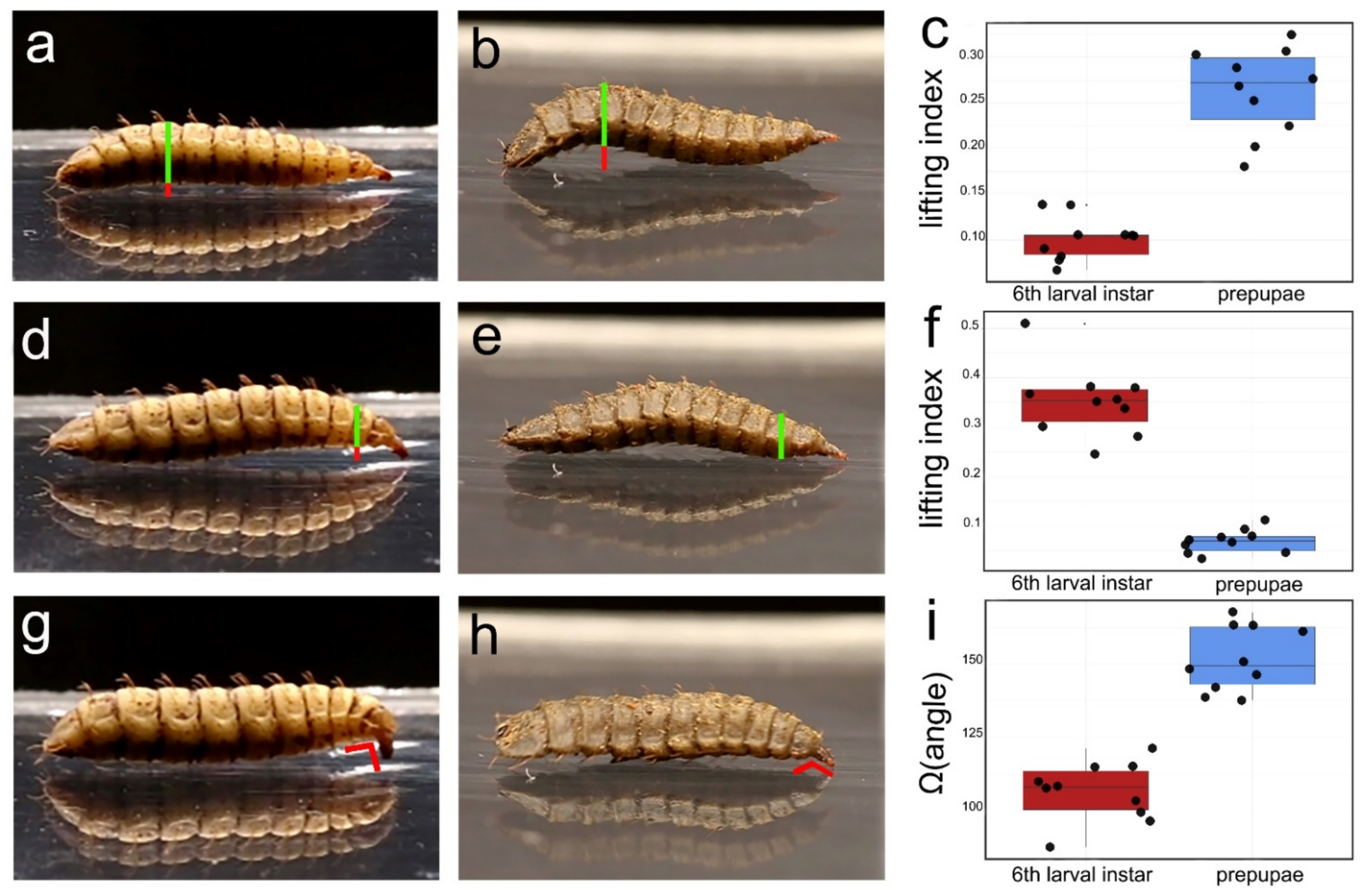 Insects 13 00127 g004