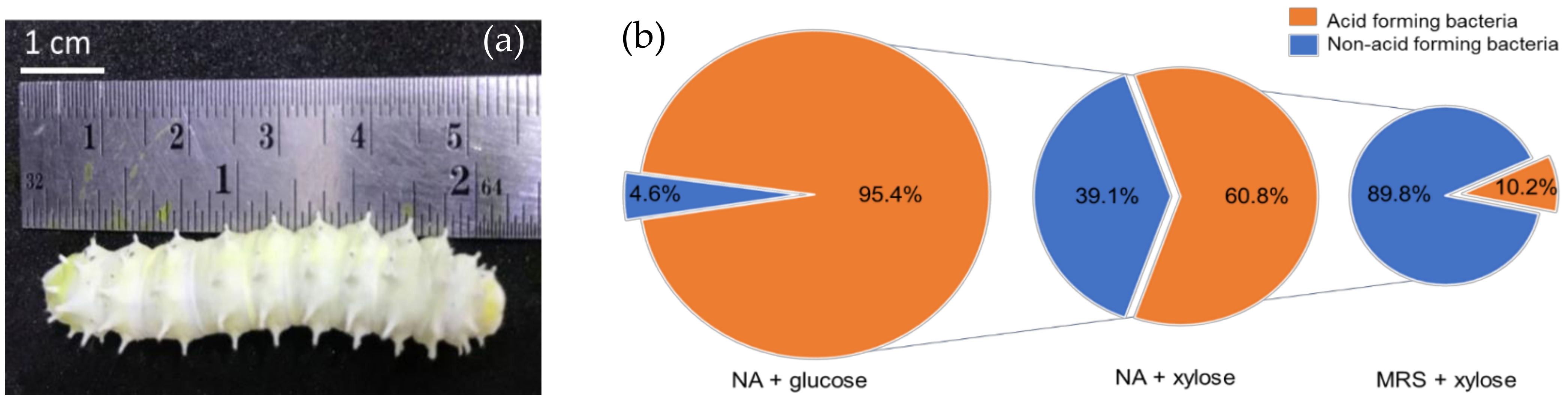 Insects 13 00136 g001 Insects 13 00136 g001