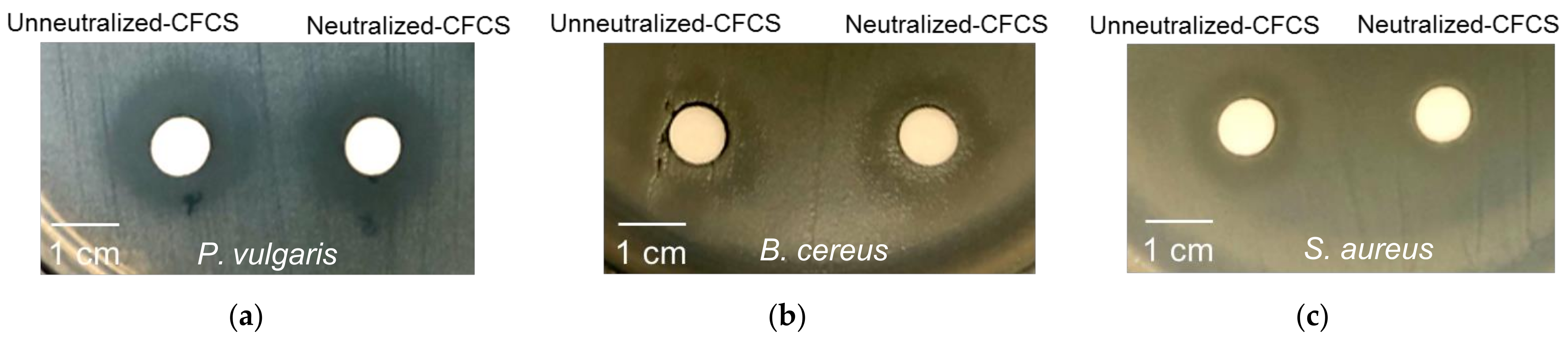 Insects 13 00136 g004 Insects 13 00136 g004
