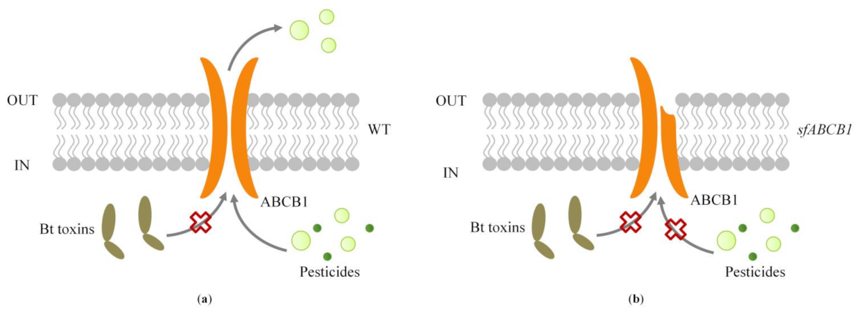 Insects 13 00137 g004
