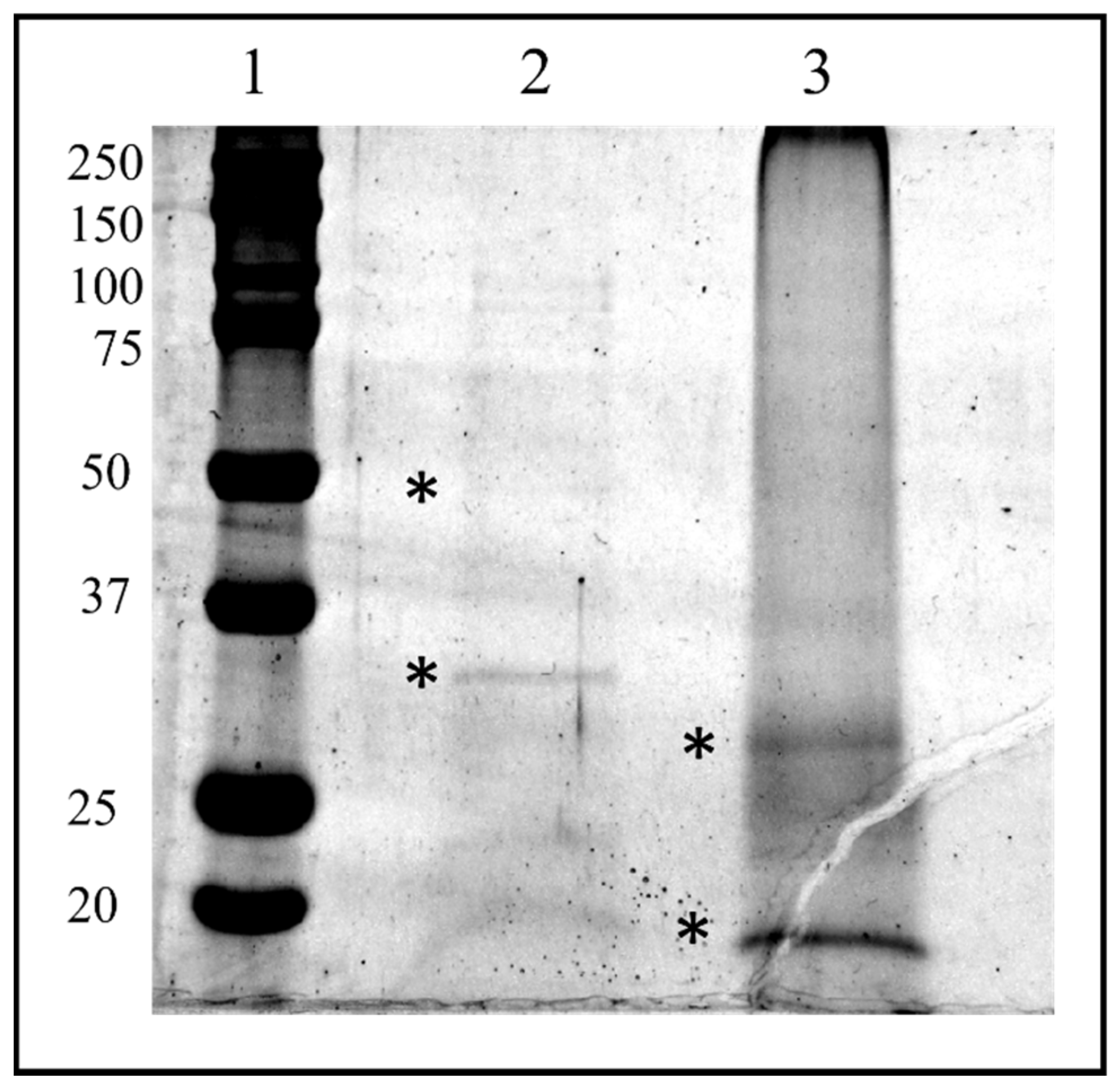 Insects 13 00144 g010