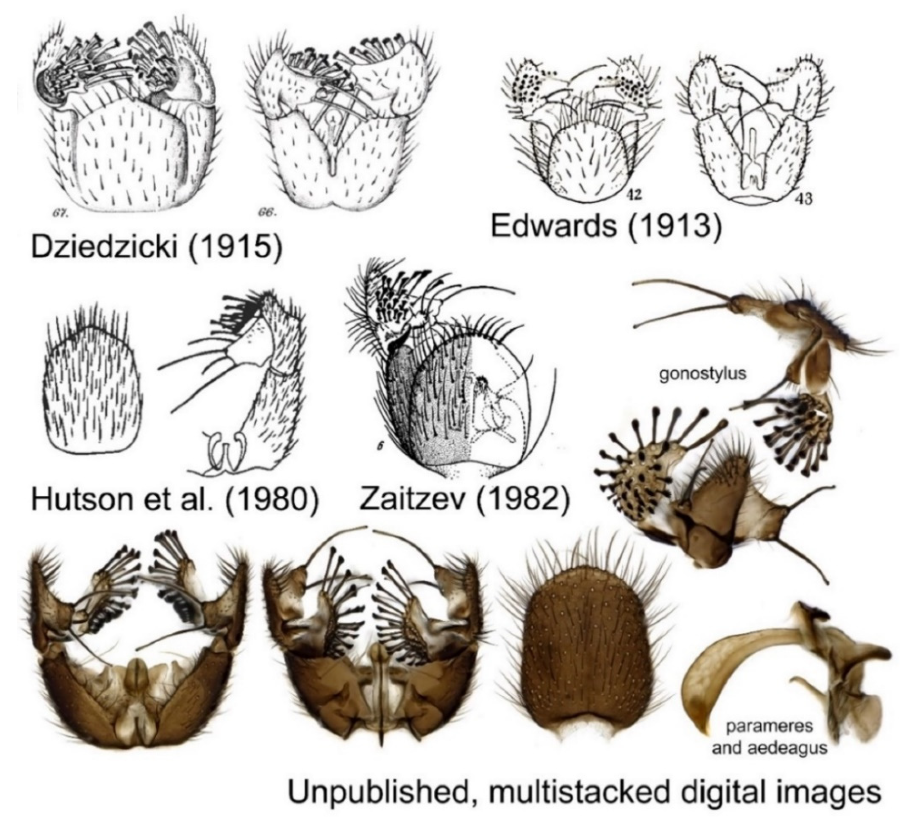 Insects 13 00147 g002