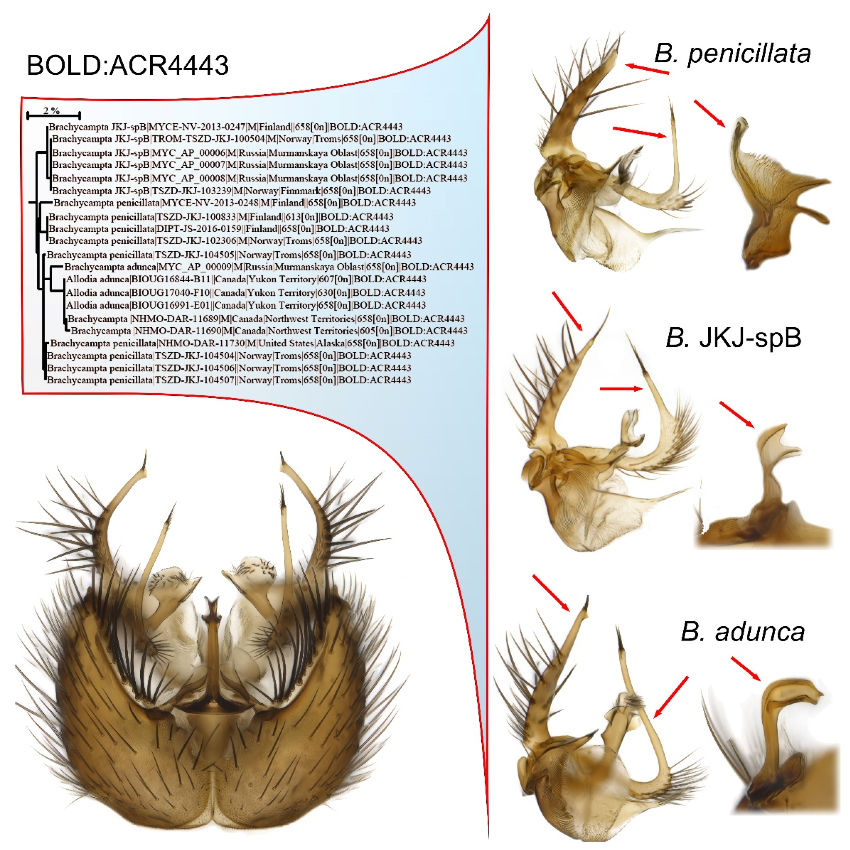 Insects 13 00147 g006