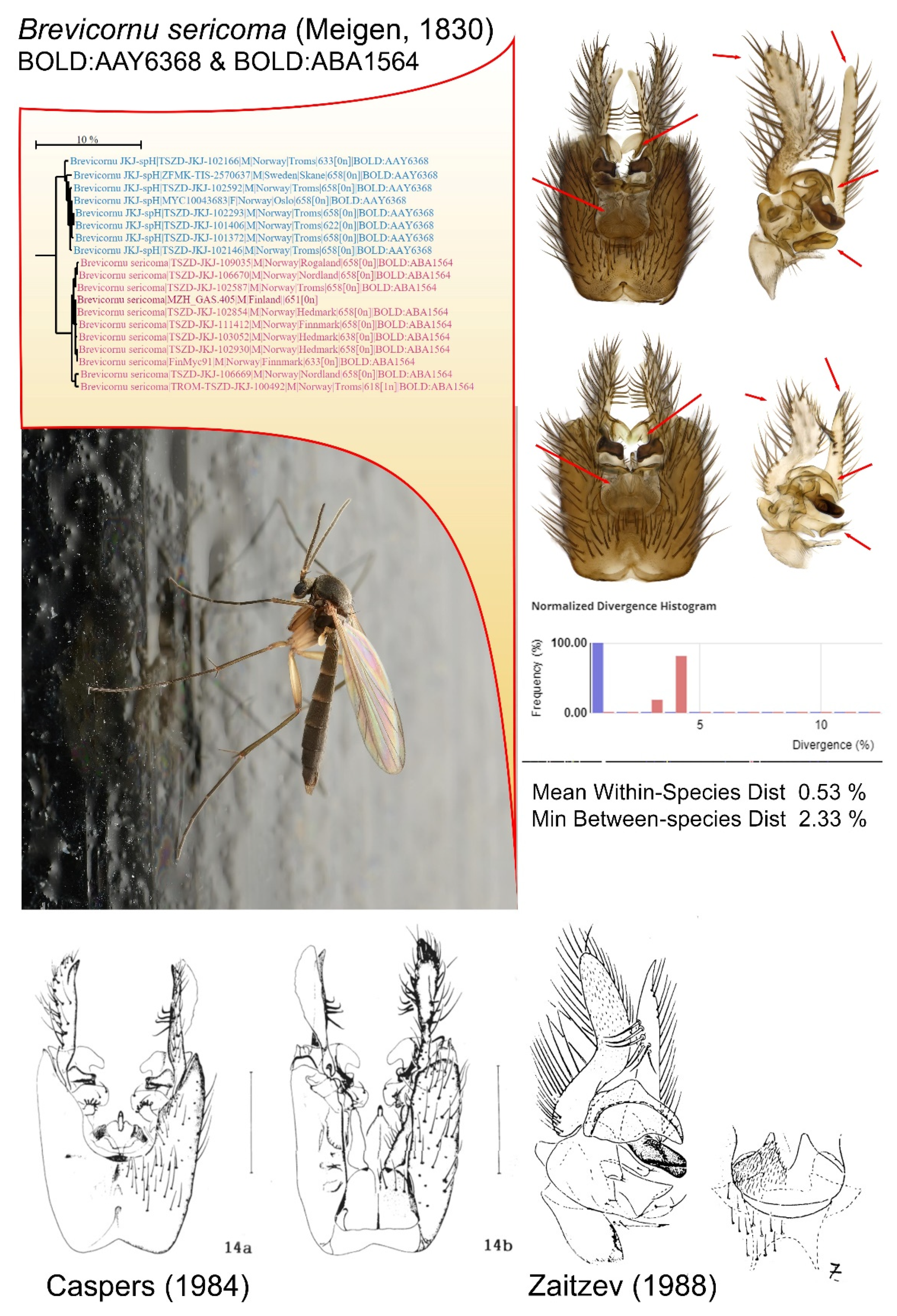 Insects 13 00147 g007