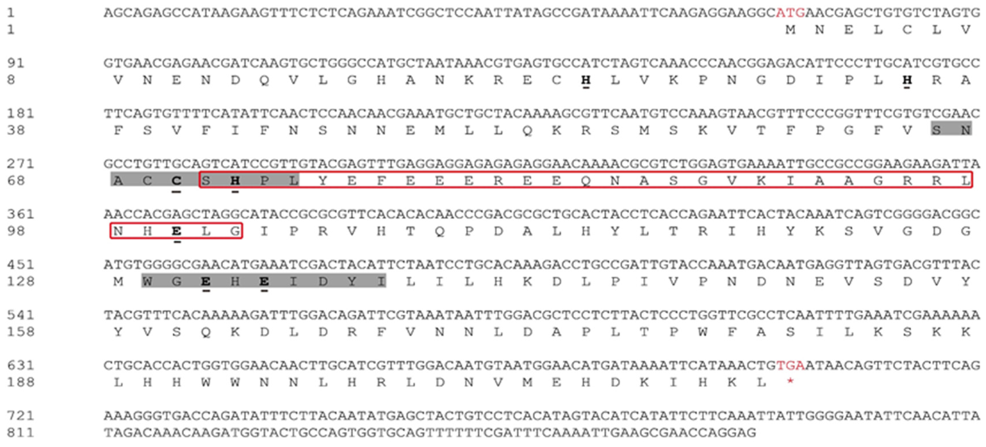 Insects 13 00174 g001