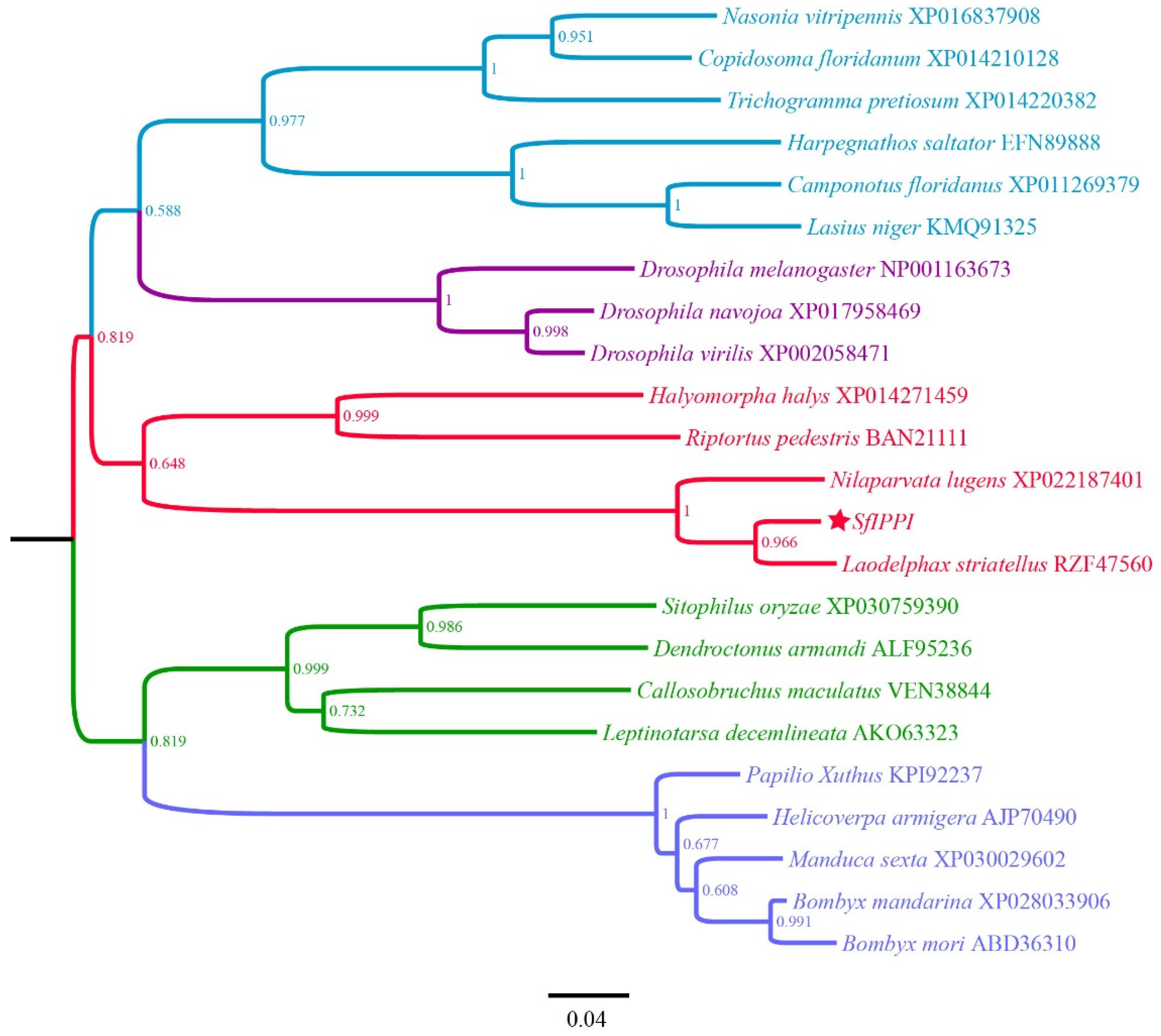 Insects 13 00174 g002