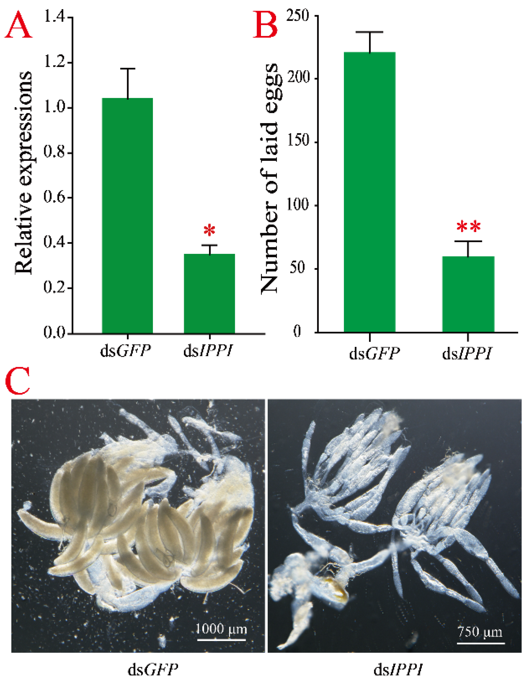 Insects 13 00174 g004