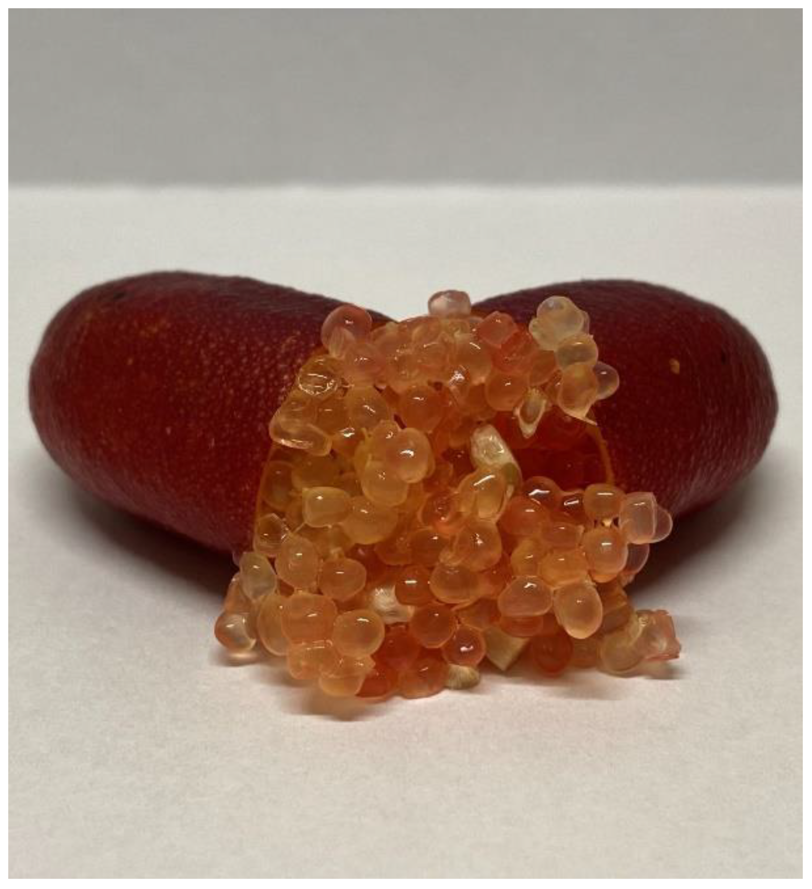 Insects 13 00177 g001