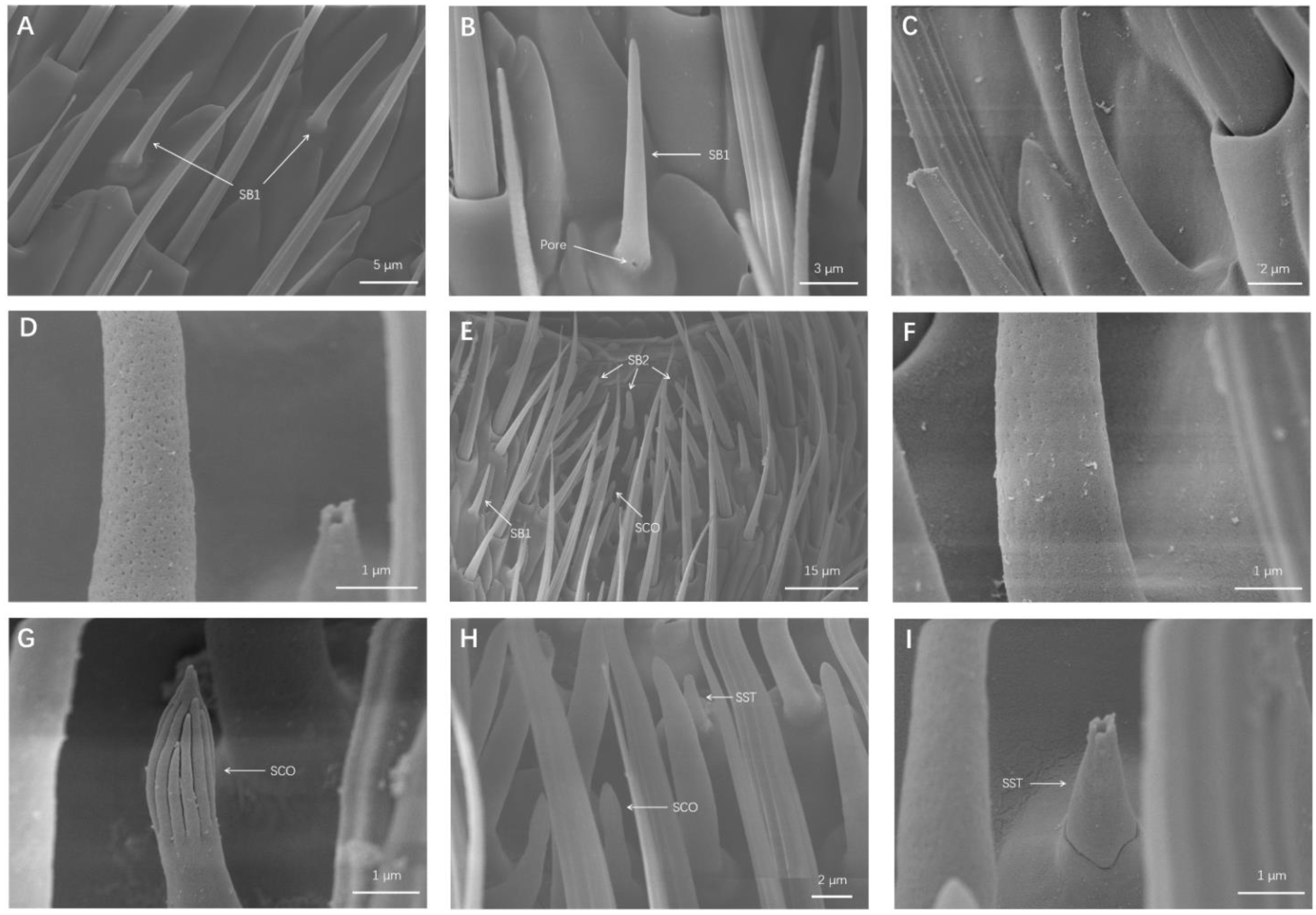Insects 13 00183 g003