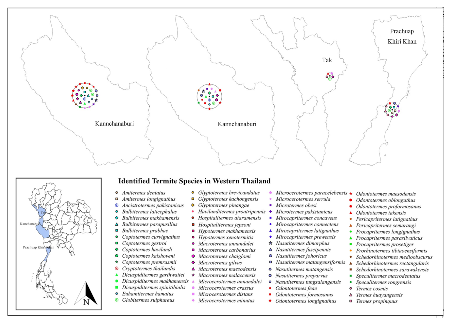 Insects 13 00186 g004