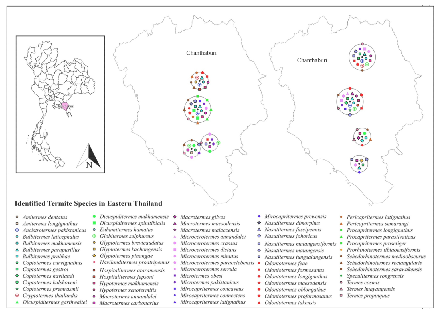 Insects 13 00186 g006