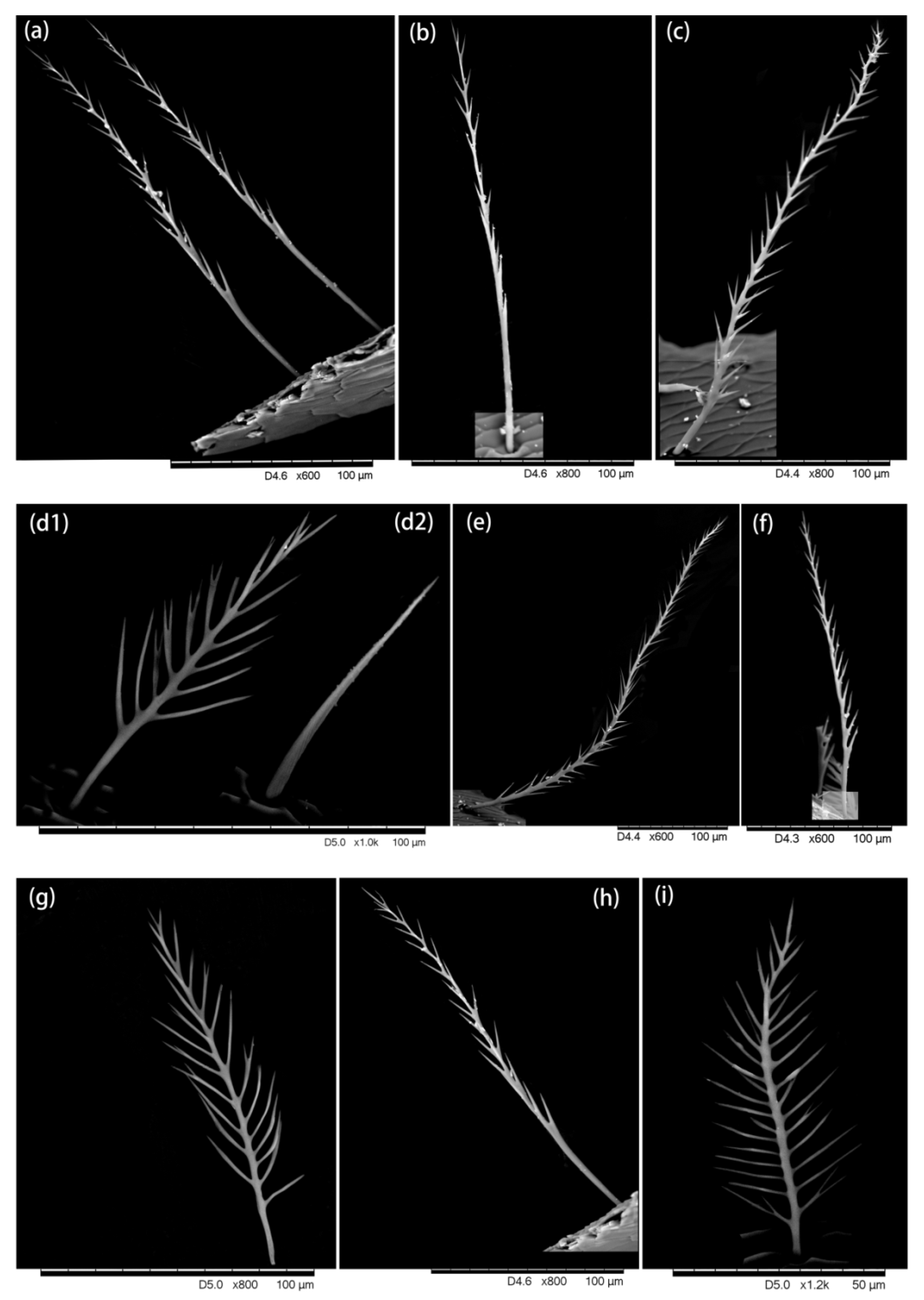 Insects 13 00189 g004
