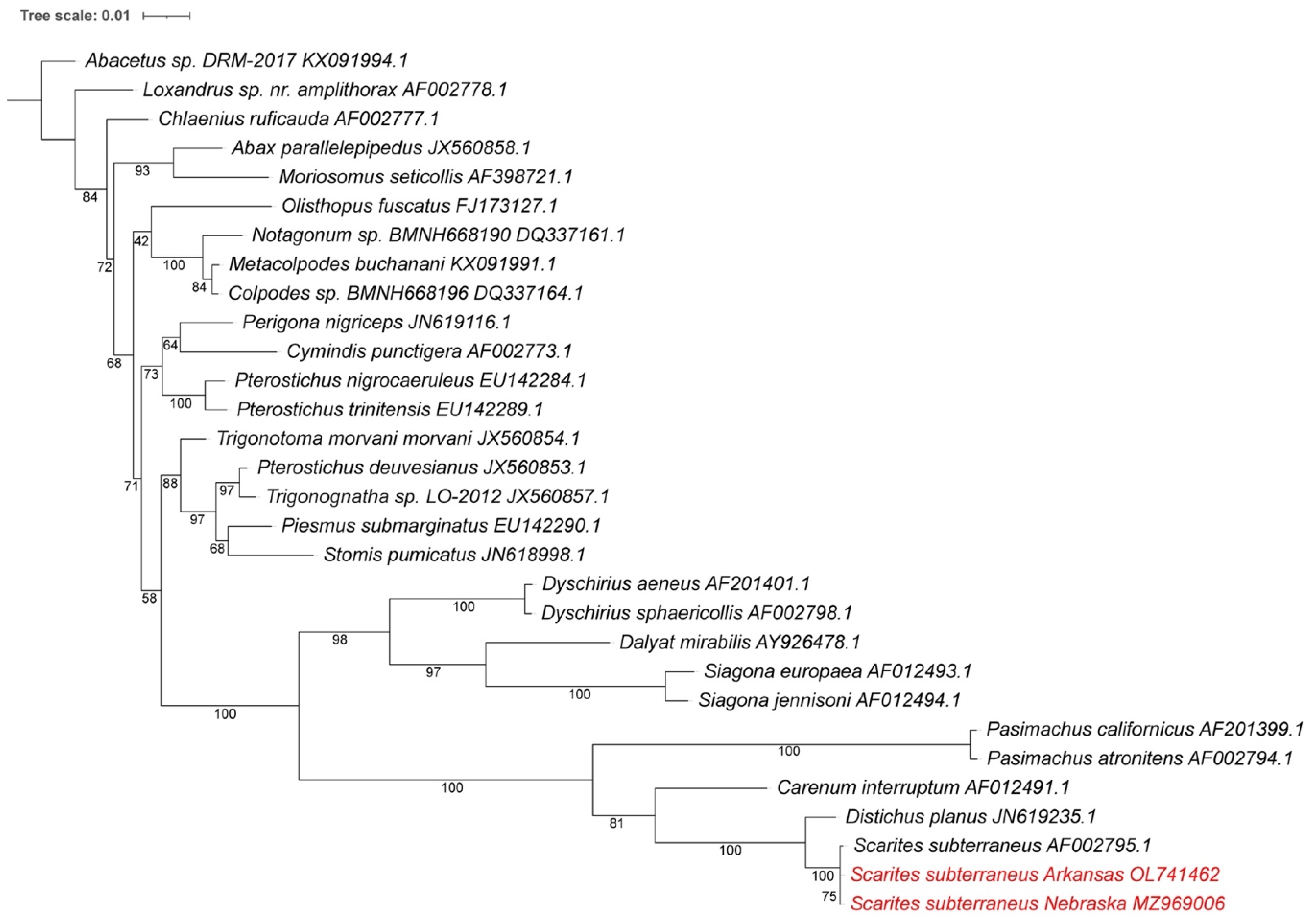Insects 13 00190 g002 Insects 13 00190 g002