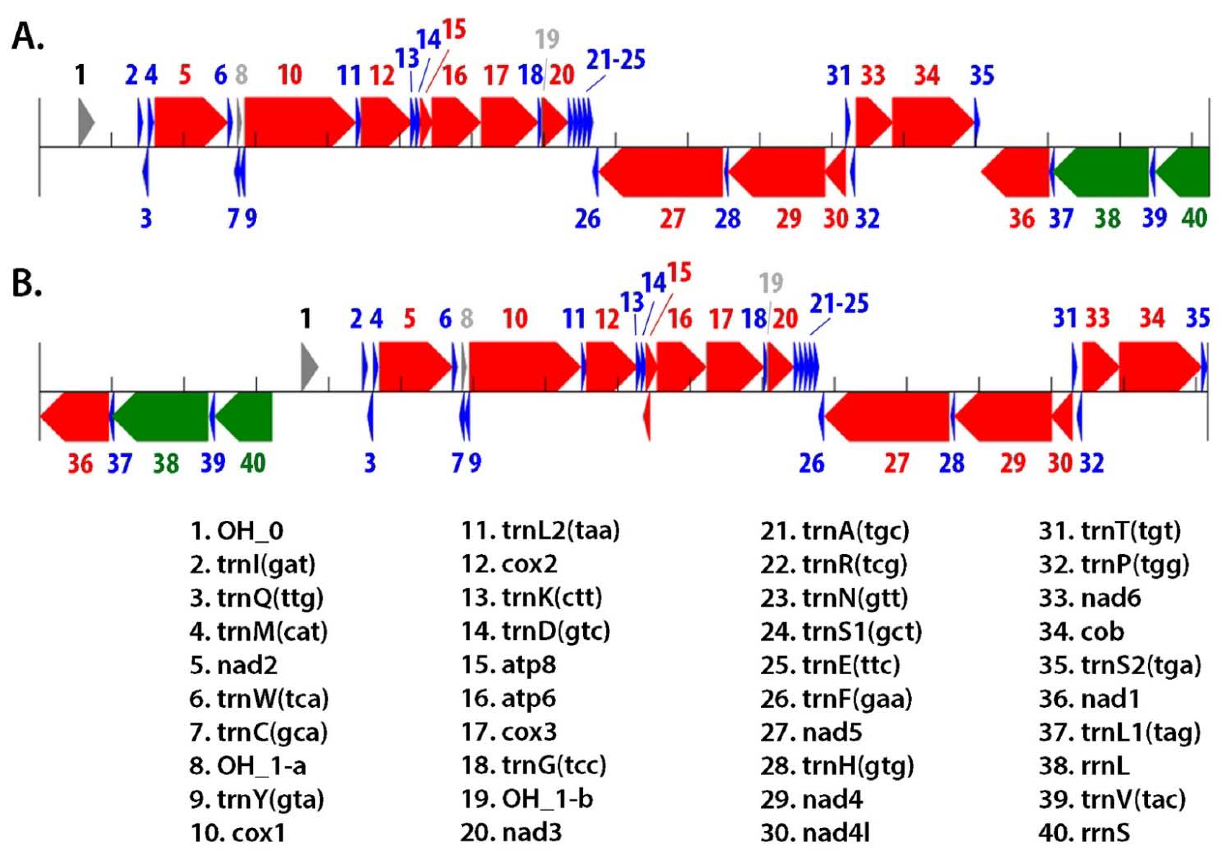 Insects 13 00190 g003 Insects 13 00190 g003