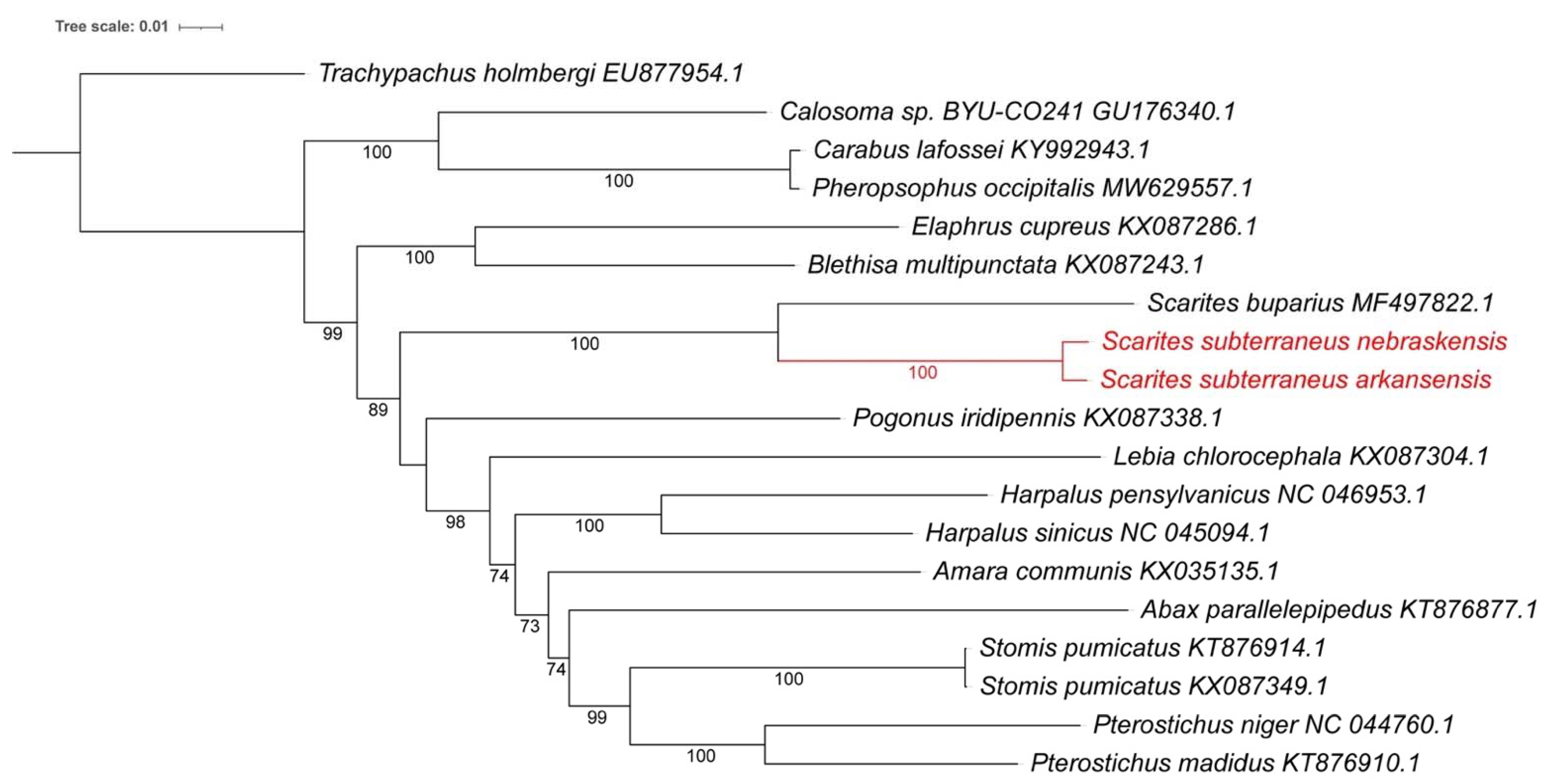 Insects 13 00190 g004 Insects 13 00190 g004